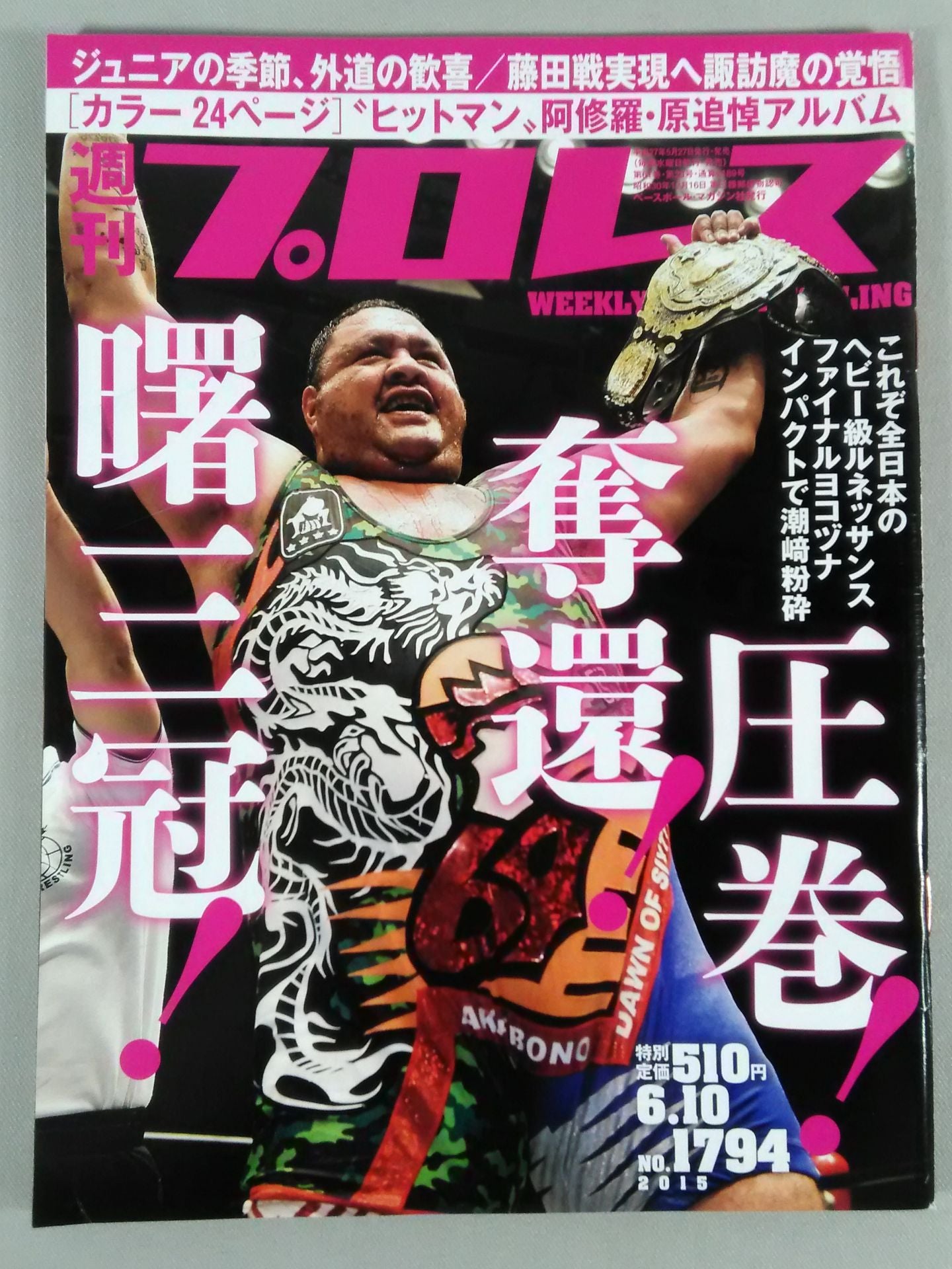 Weekly Pro Wrestling 1794