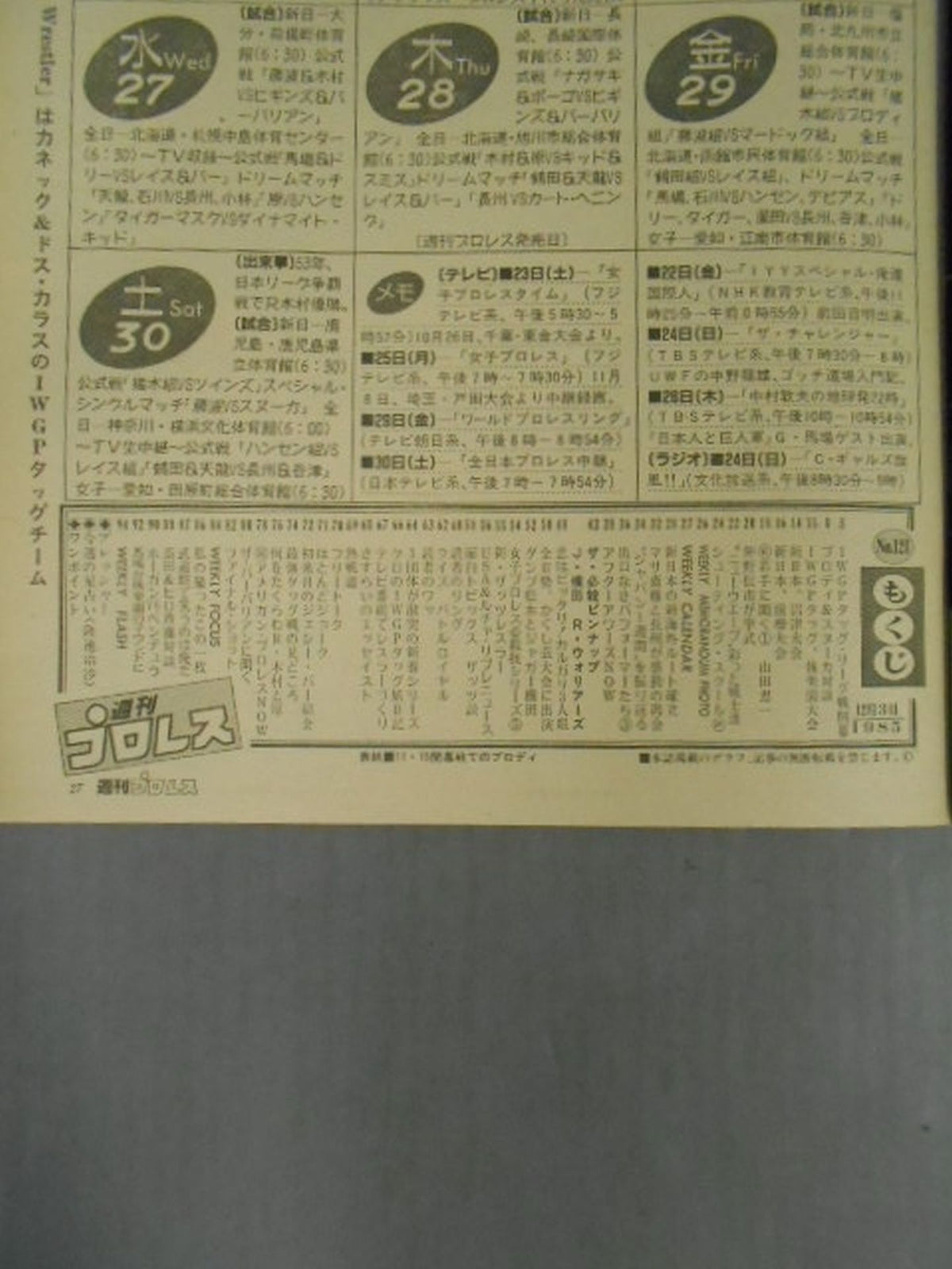 Weekly Pro Wrestling 121