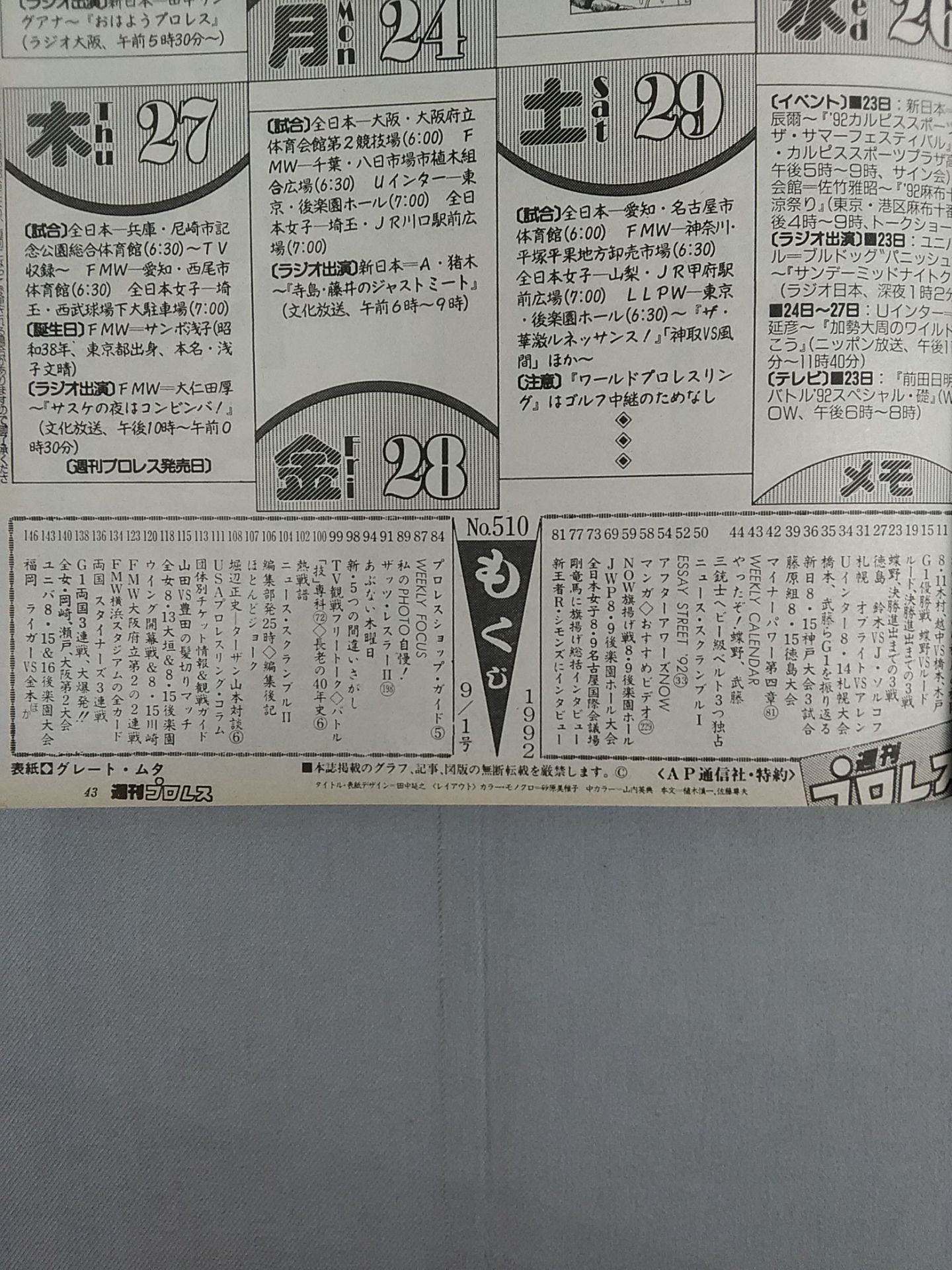 Weekly Pro Wrestling 510