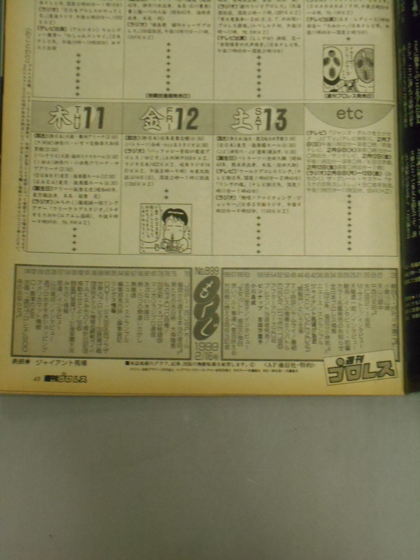 Weekly Pro Wrestling 899