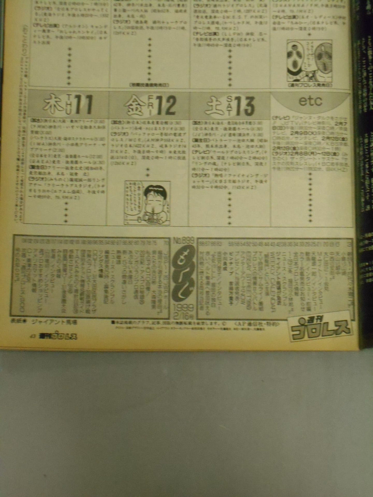 Weekly Pro Wrestling 899