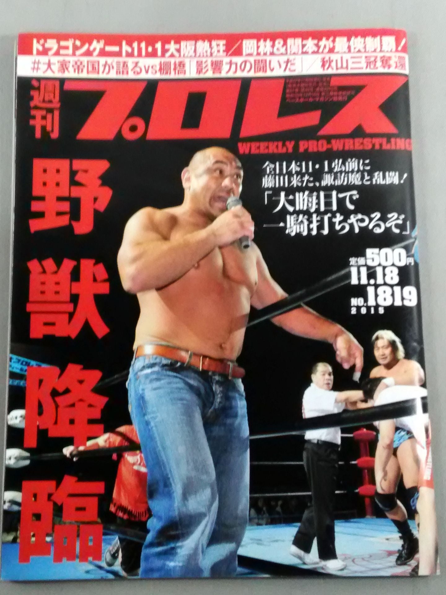 Weekly Pro Wrestling 1819