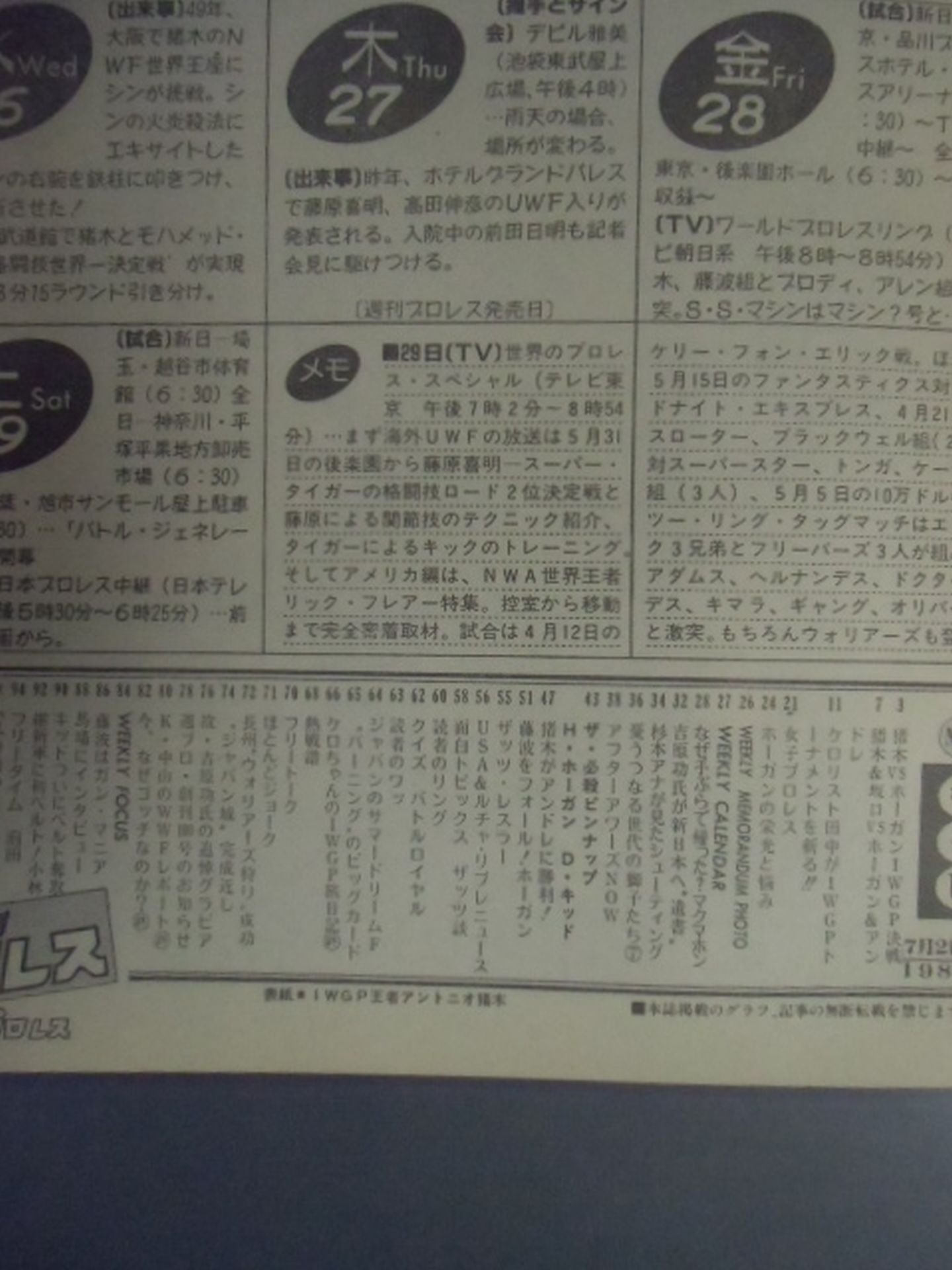 Weekly Pro Wrestling 99