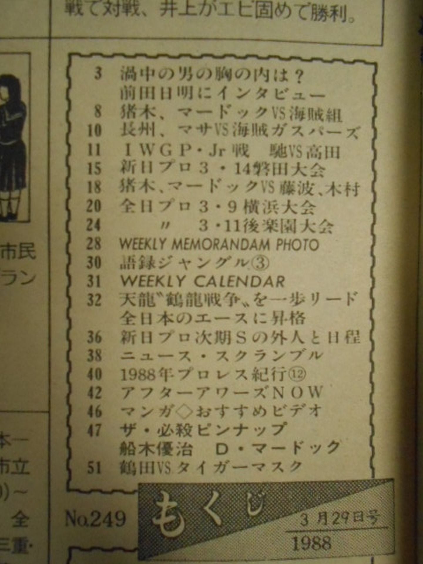 Weekly Pro Wrestling 249