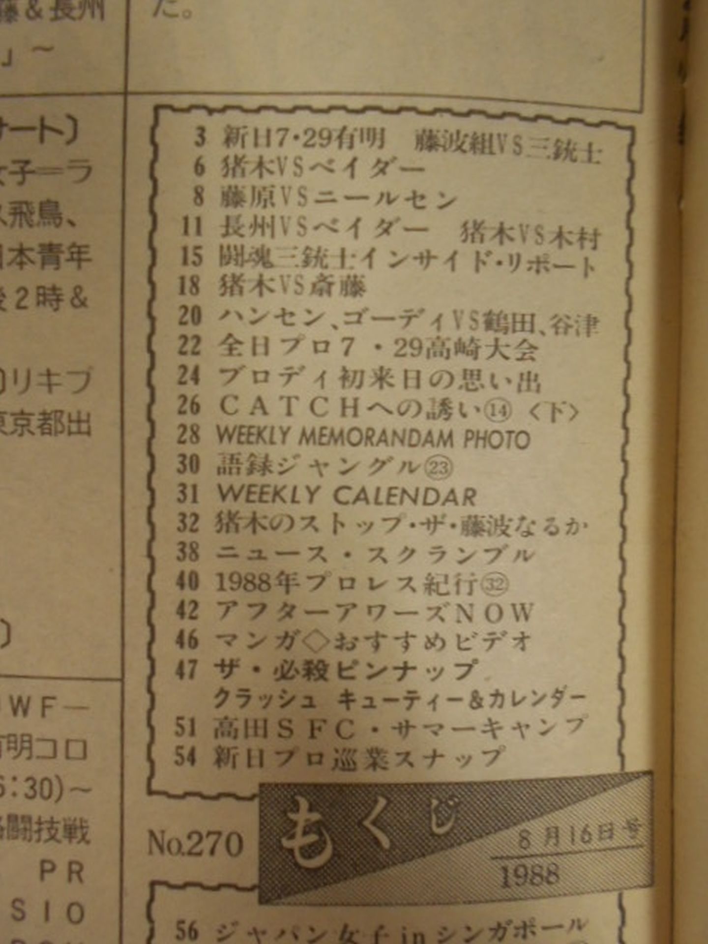 Weekly Pro Wrestling 270
