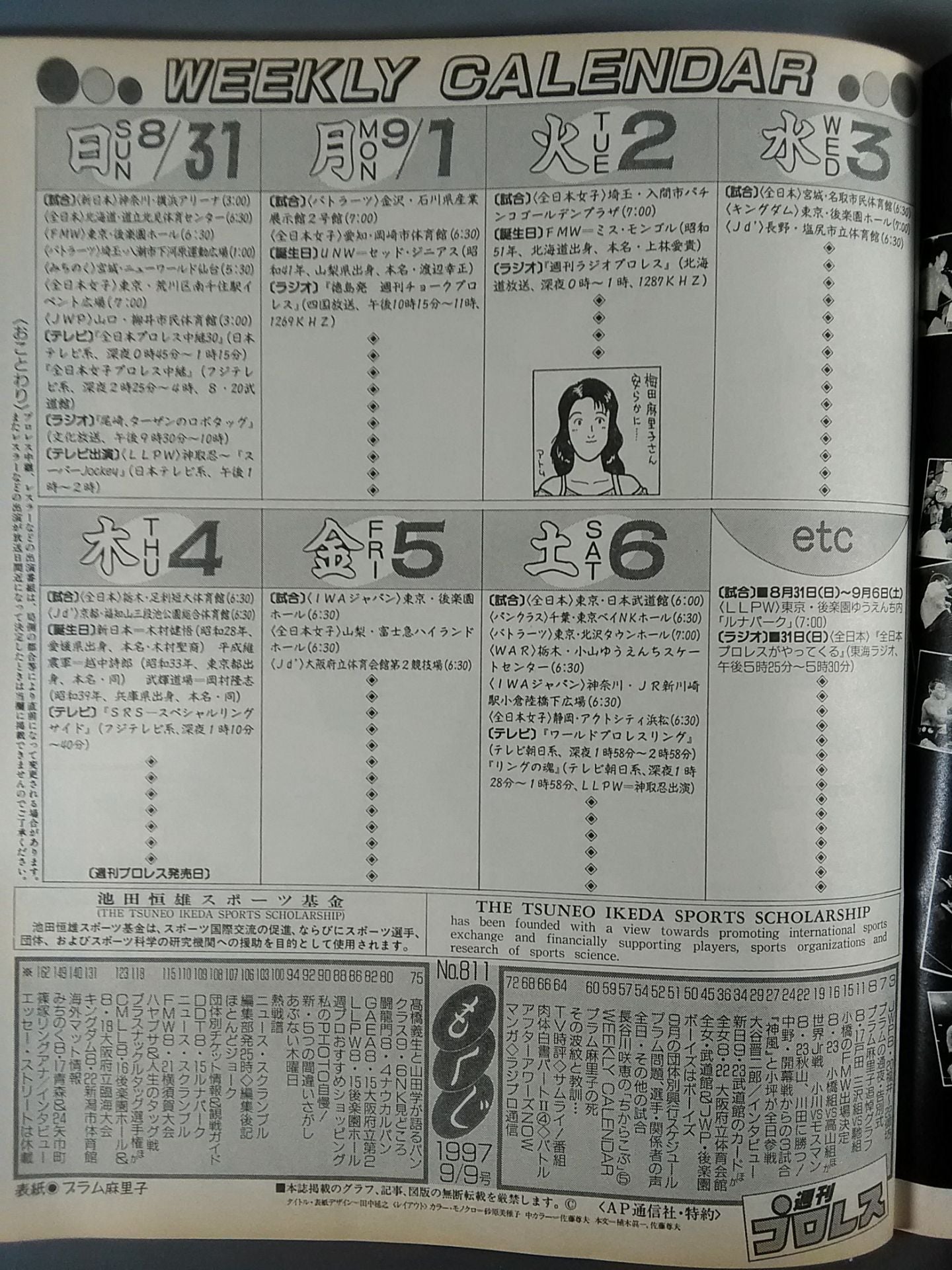 Weekly Pro Wrestling 811