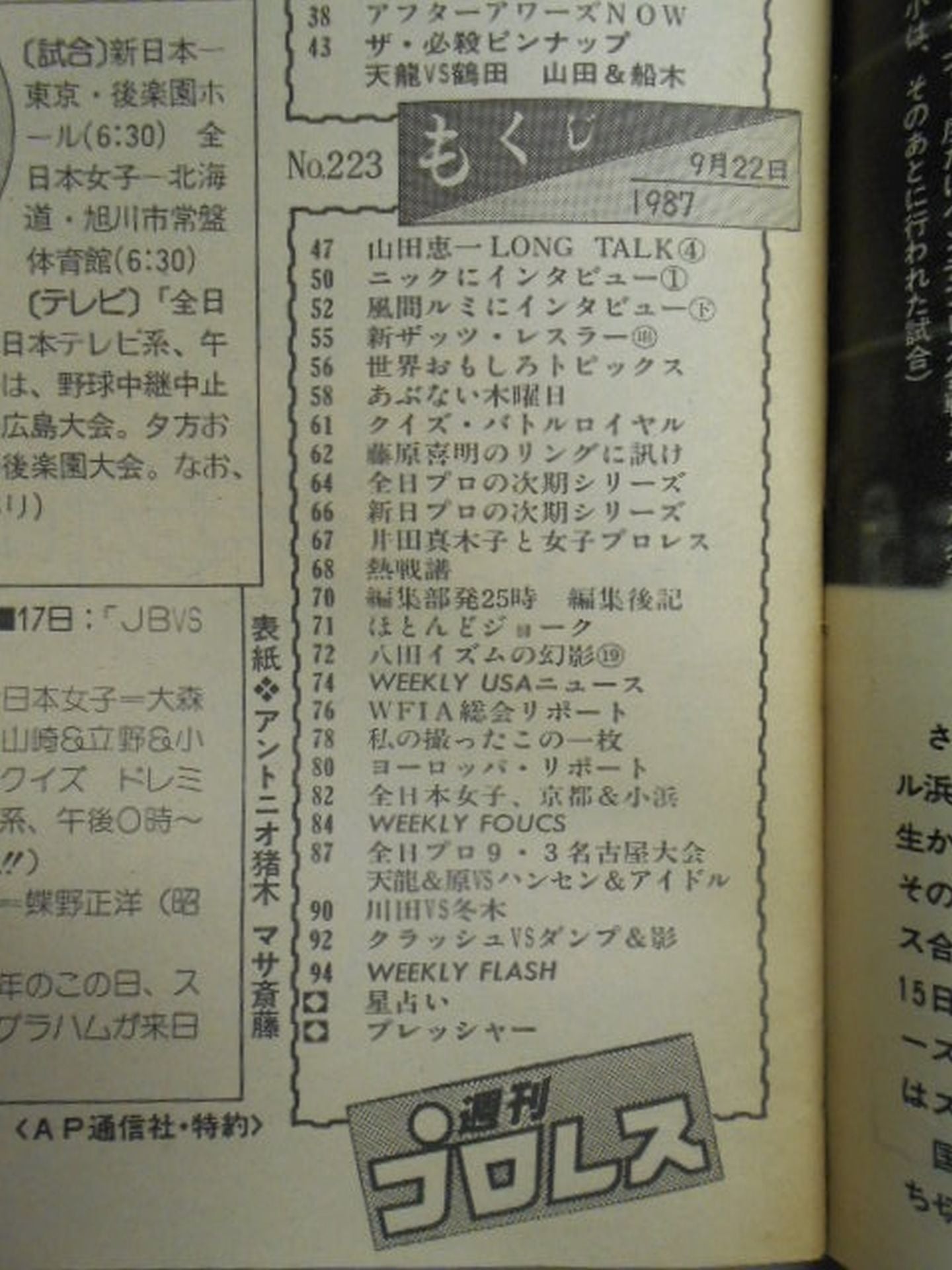 Weekly Pro Wrestling 223