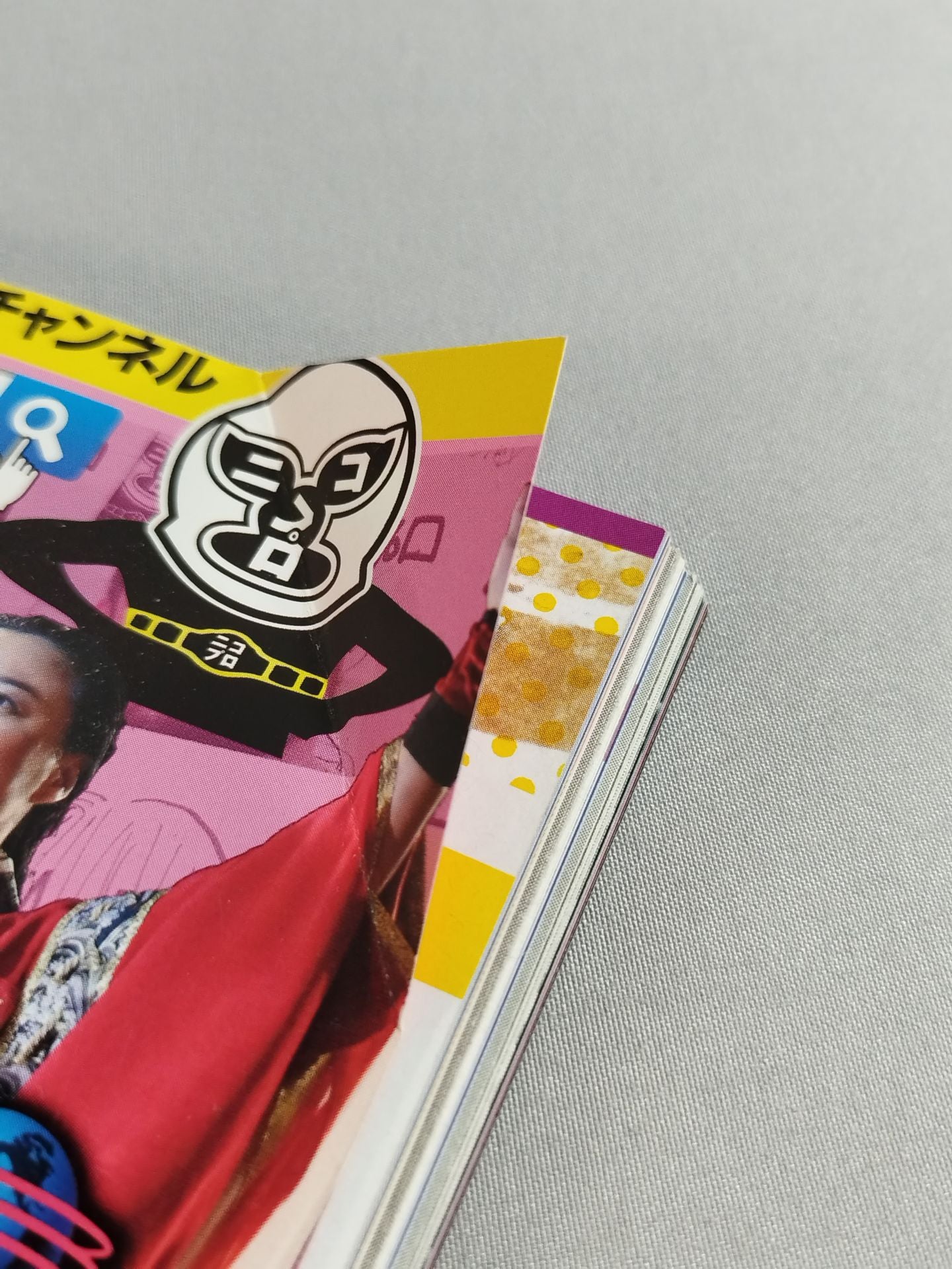 Weekly Pro Wrestling 1847