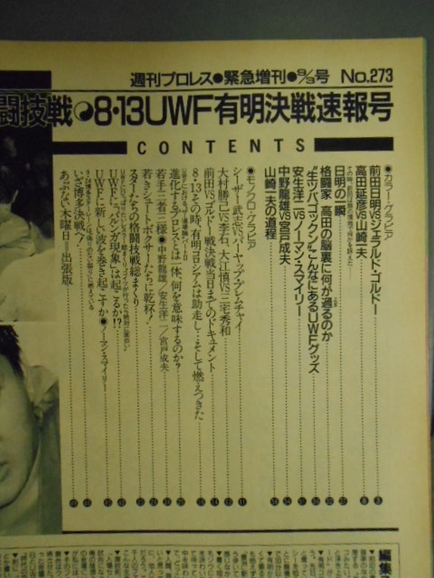 Weekly Pro Wrestling 273
