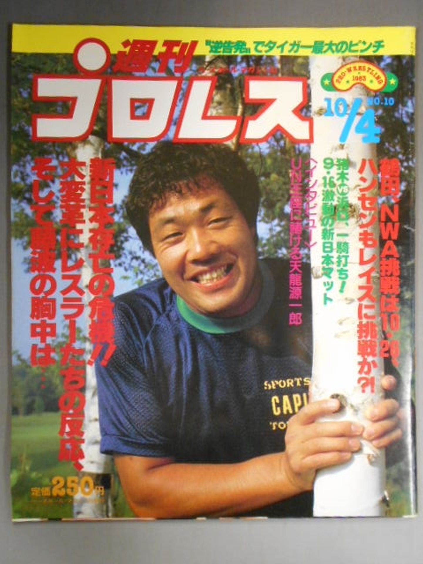 Weekly Pro Wrestling 10