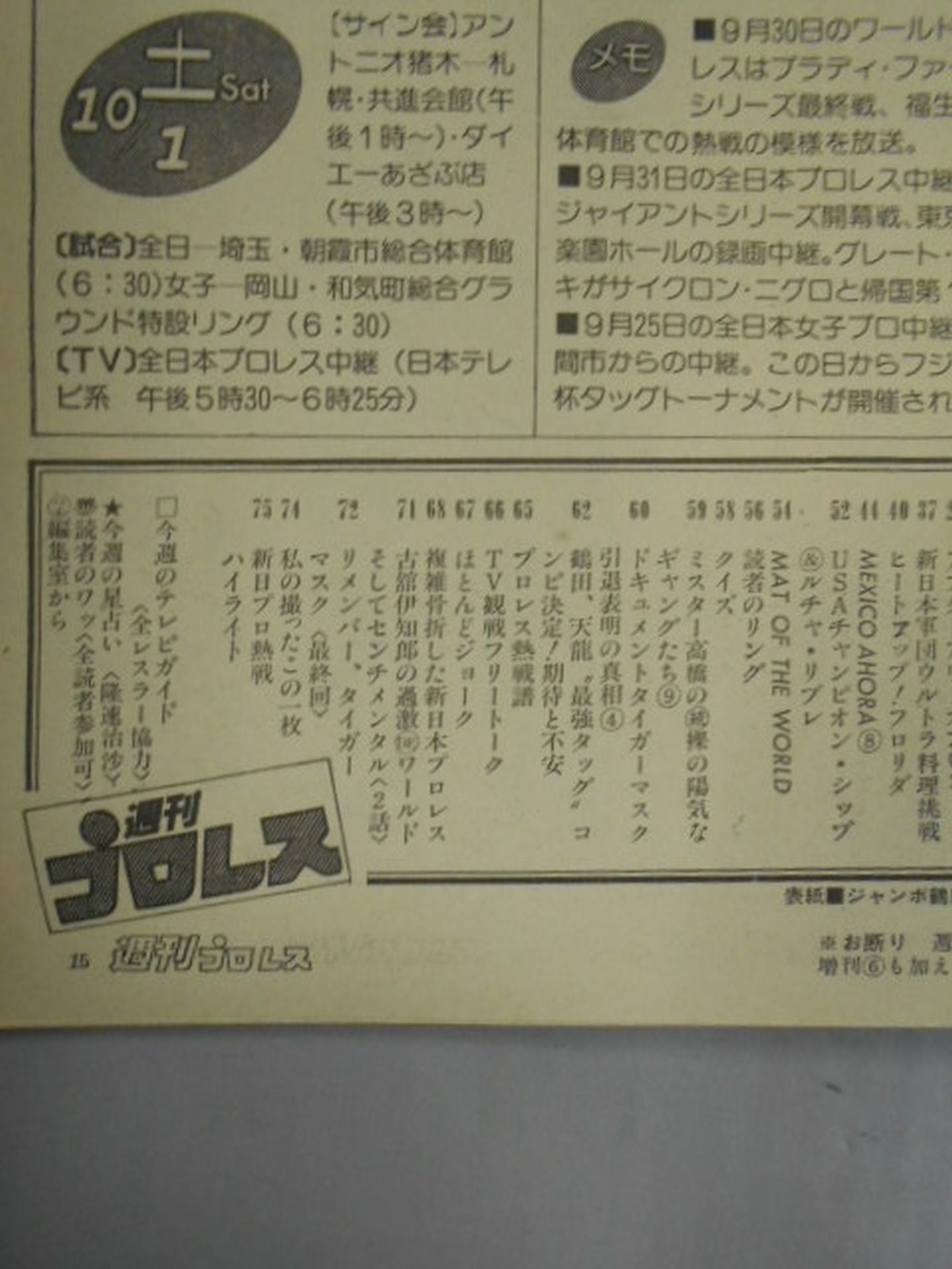 Weekly Pro Wrestling 10