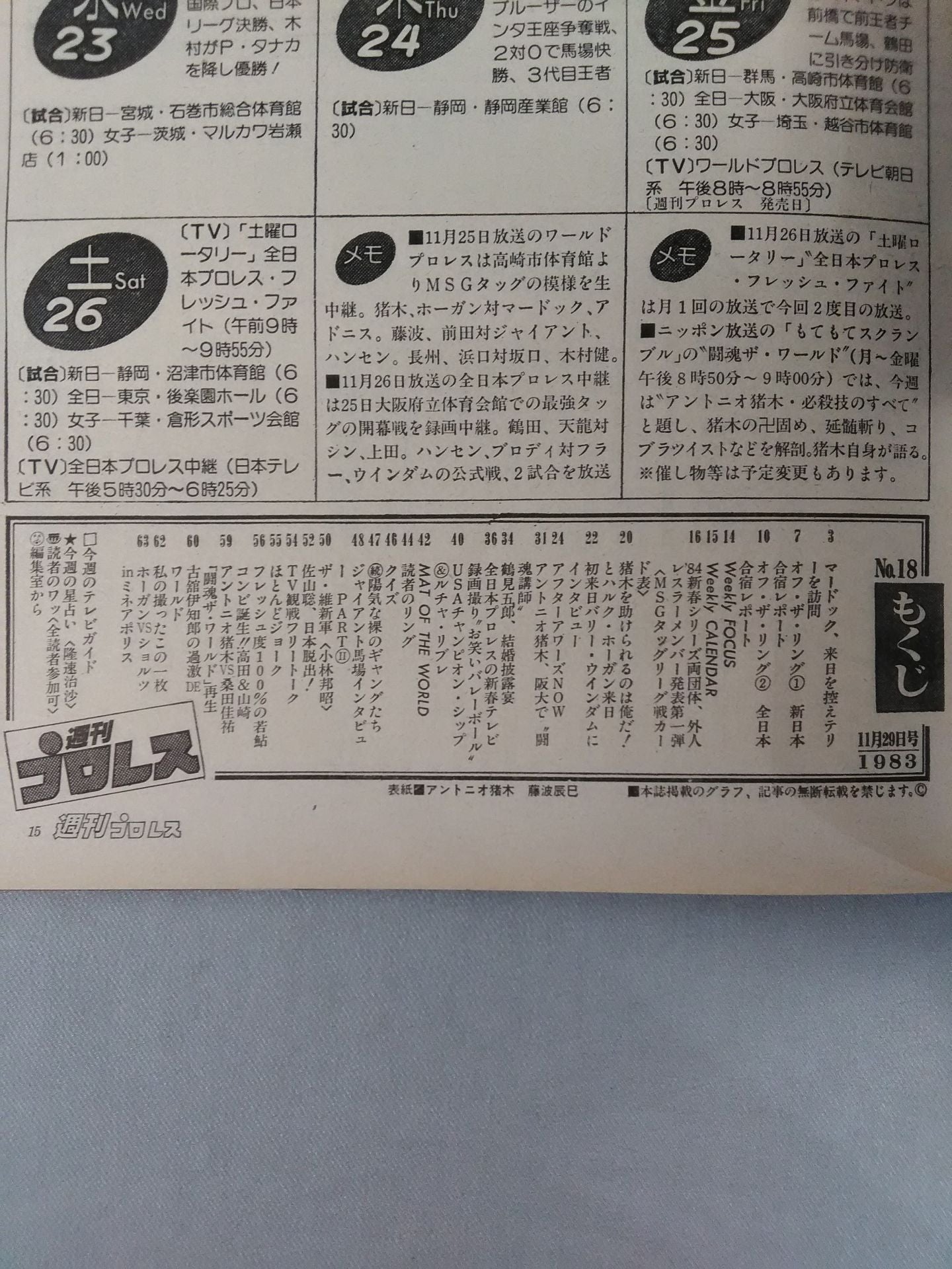 Weekly Pro Wrestling 18