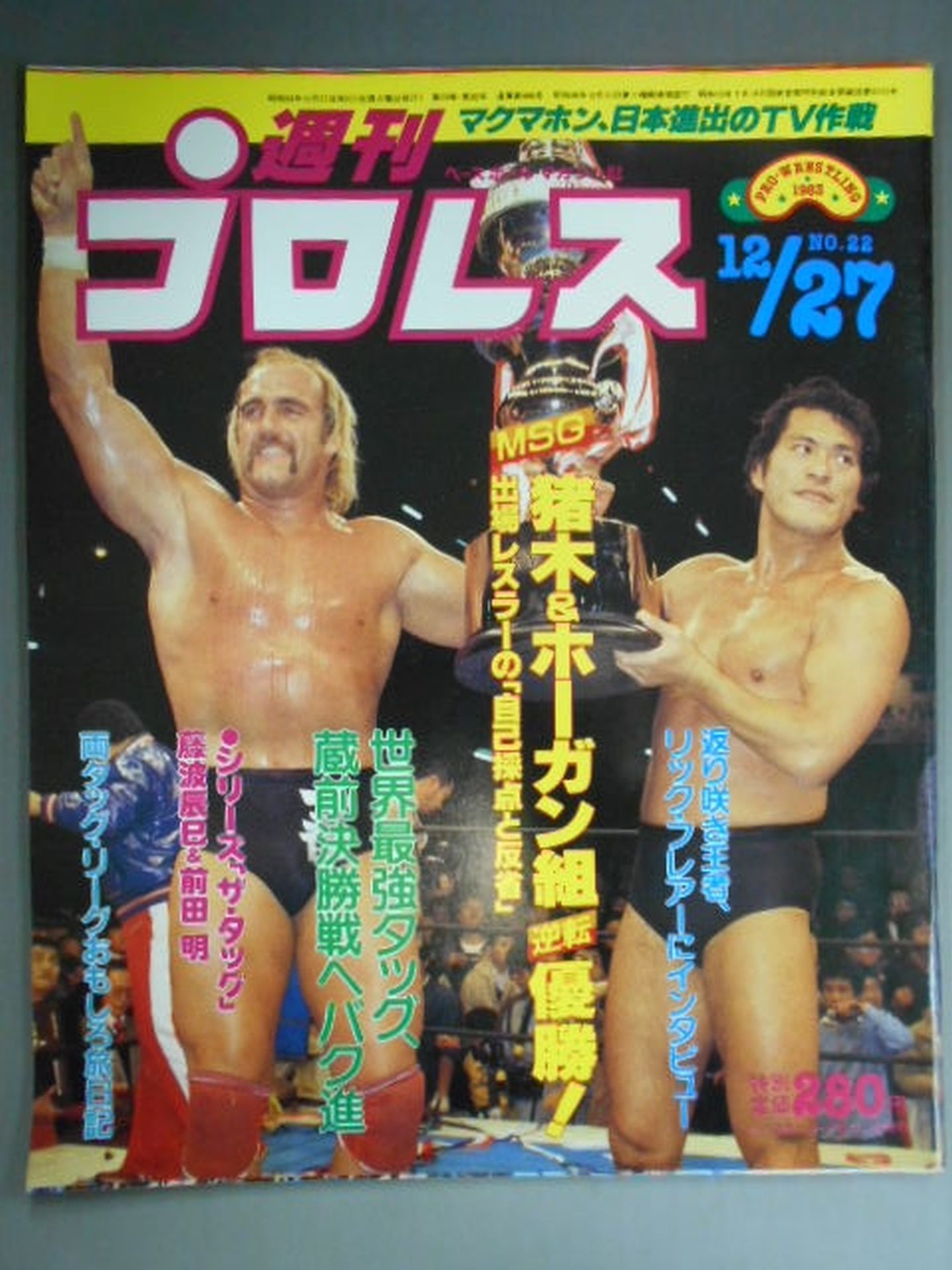 Weekly Pro Wrestling 22