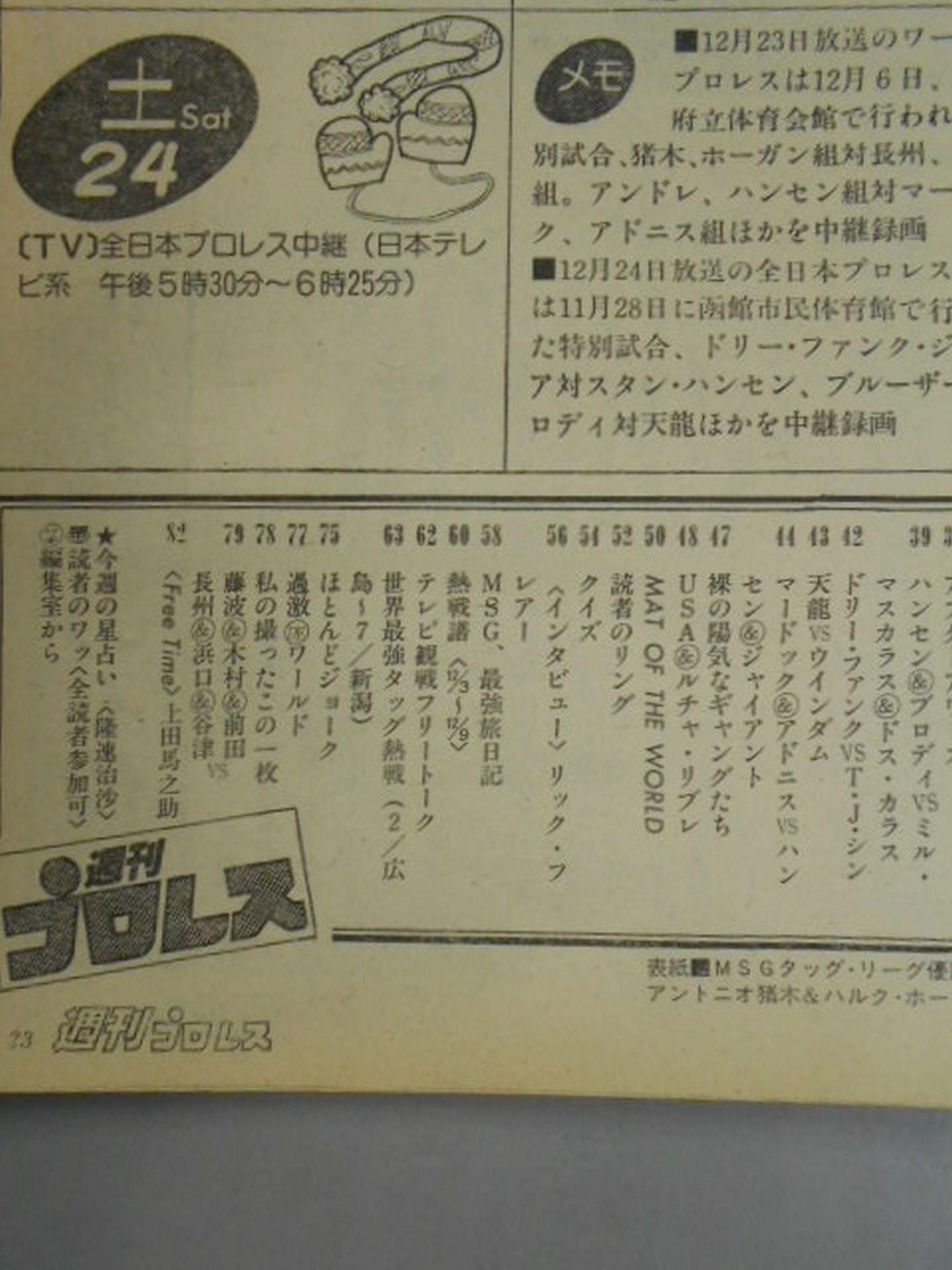Weekly Pro Wrestling 22