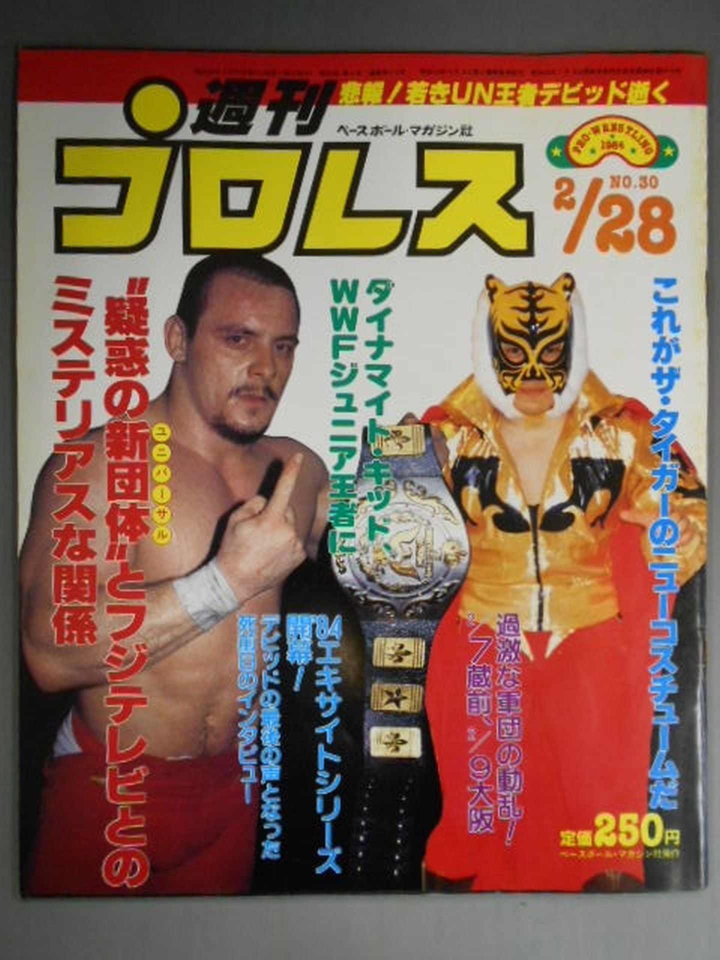 Weekly Pro Wrestling 30