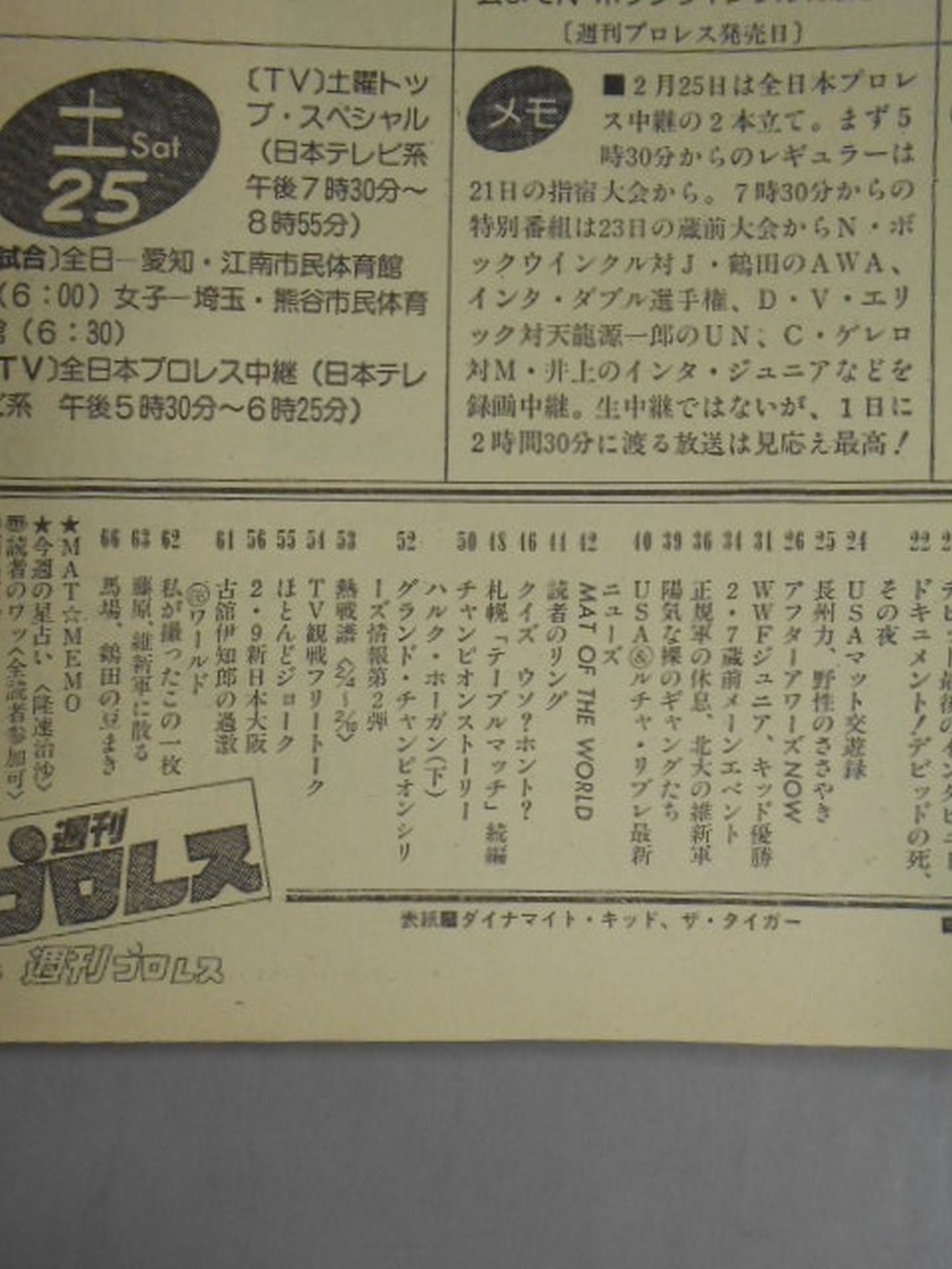 Weekly Pro Wrestling 30