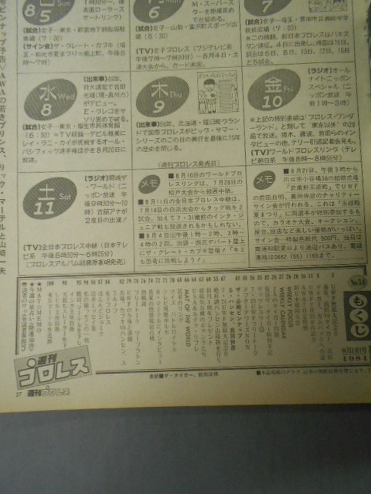 Weekly Pro Wrestling 54