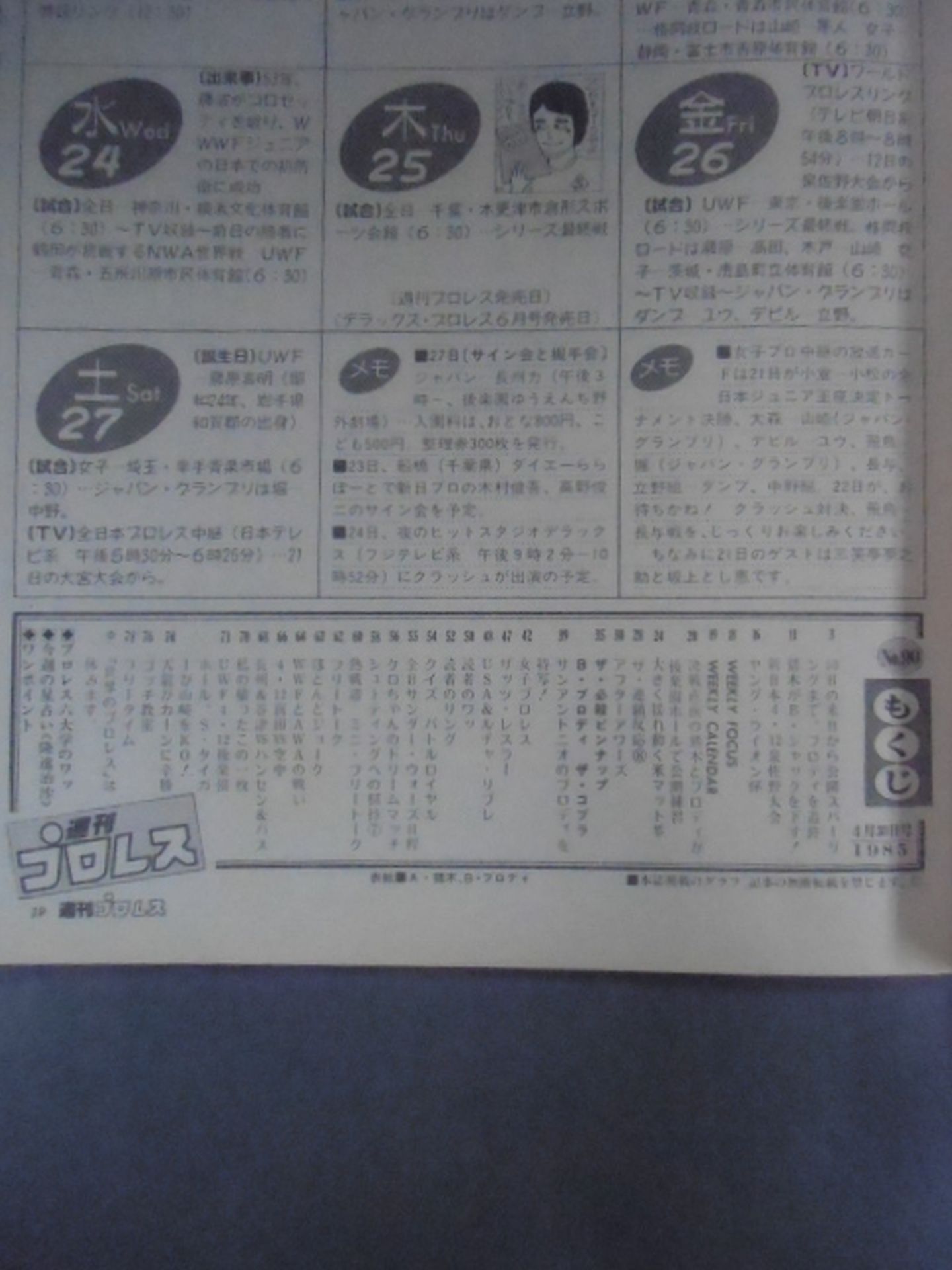 Weekly Pro Wrestling 90