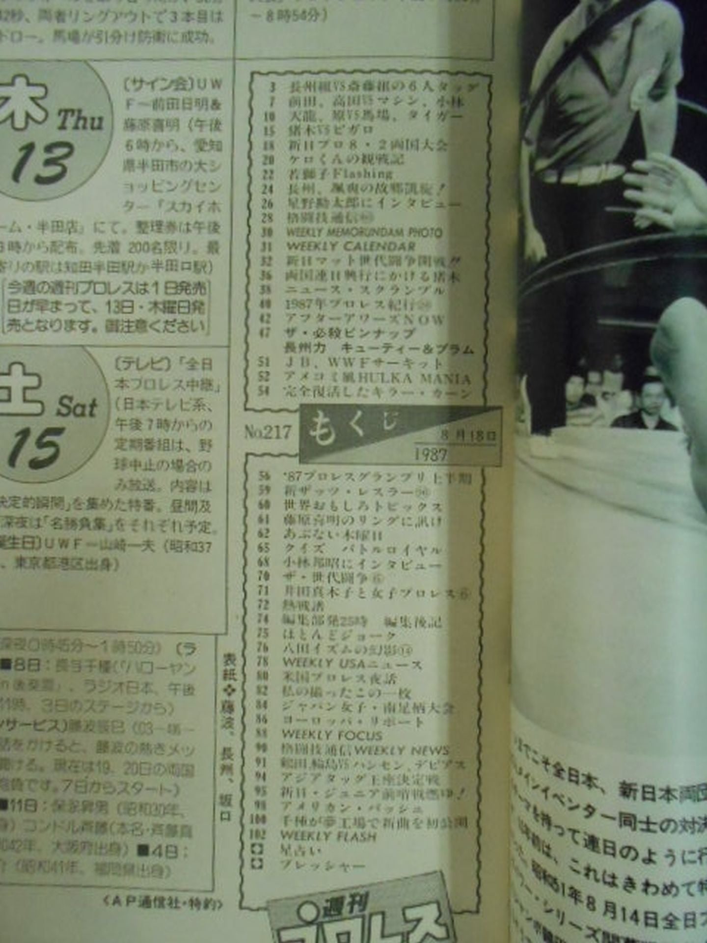 Weekly Pro Wrestling 217