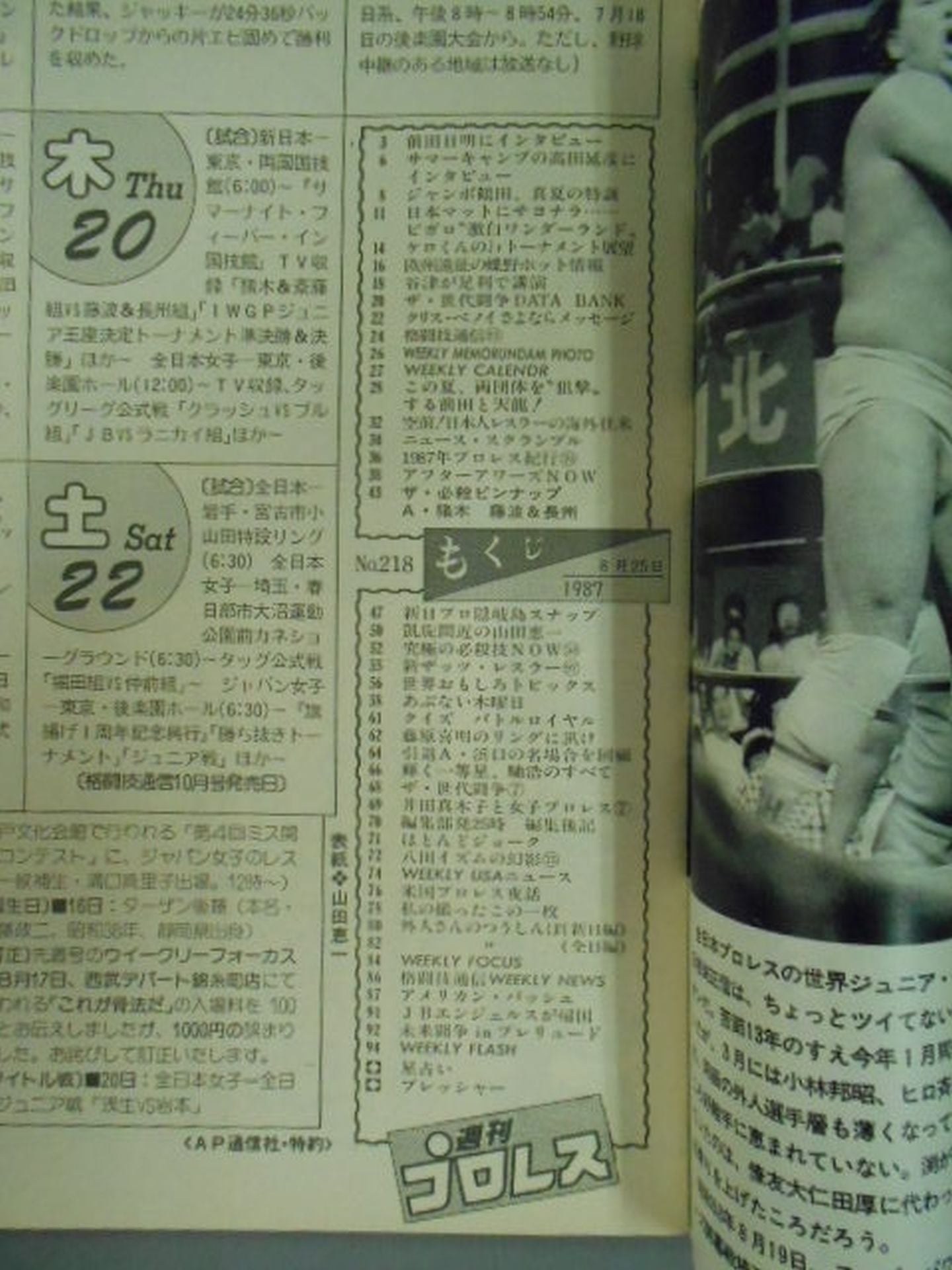Weekly Pro Wrestling 218