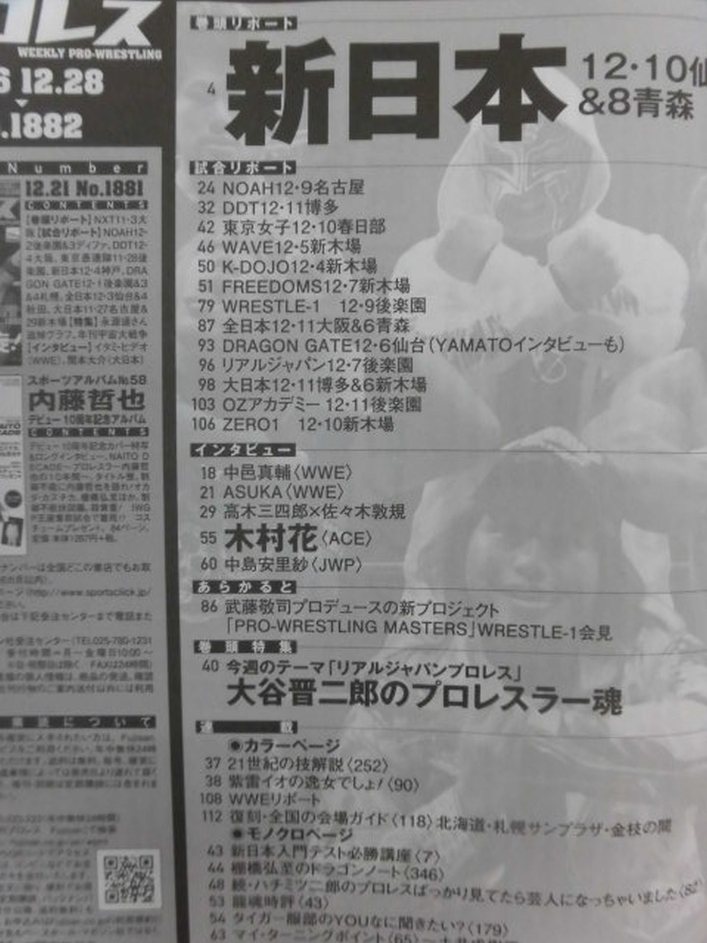Weekly Pro Wrestling 1882