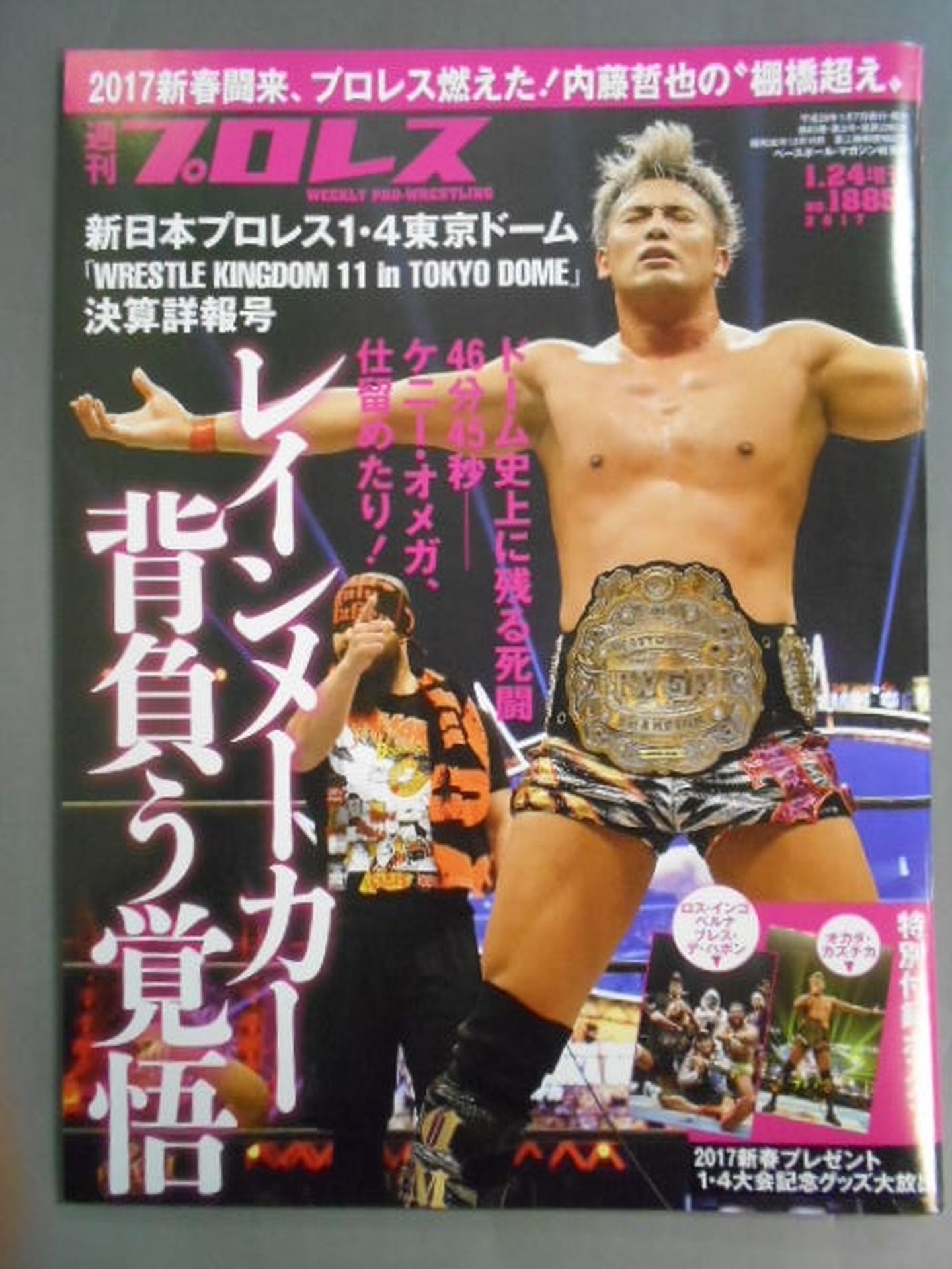 Weekly Pro Wrestling 1885