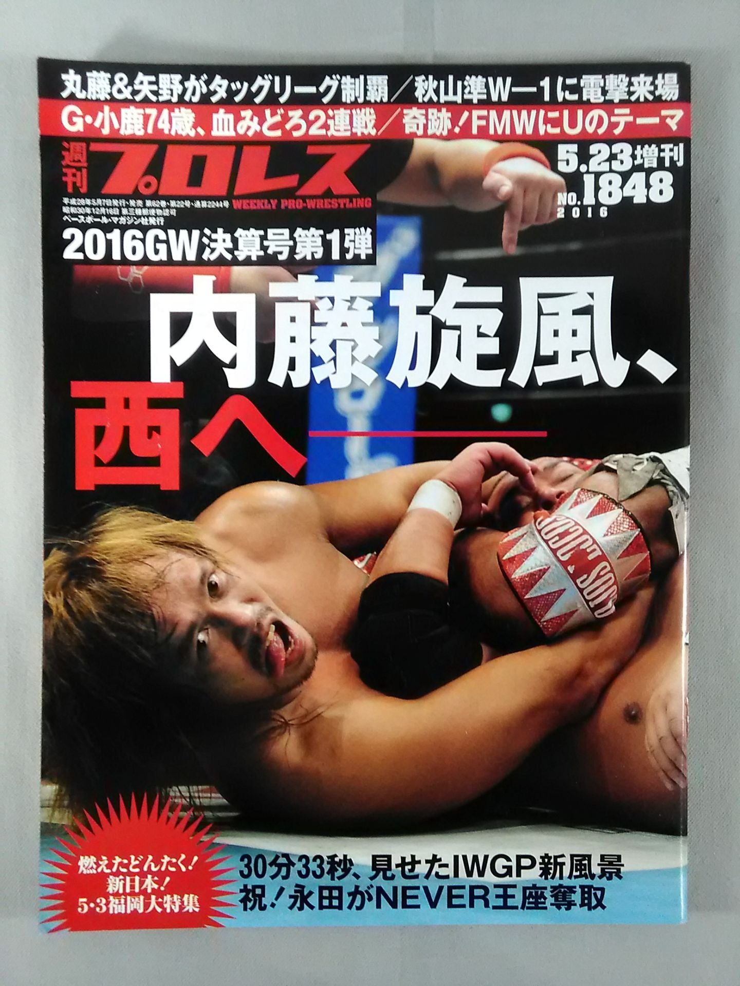 Weekly Pro Wrestling 1848