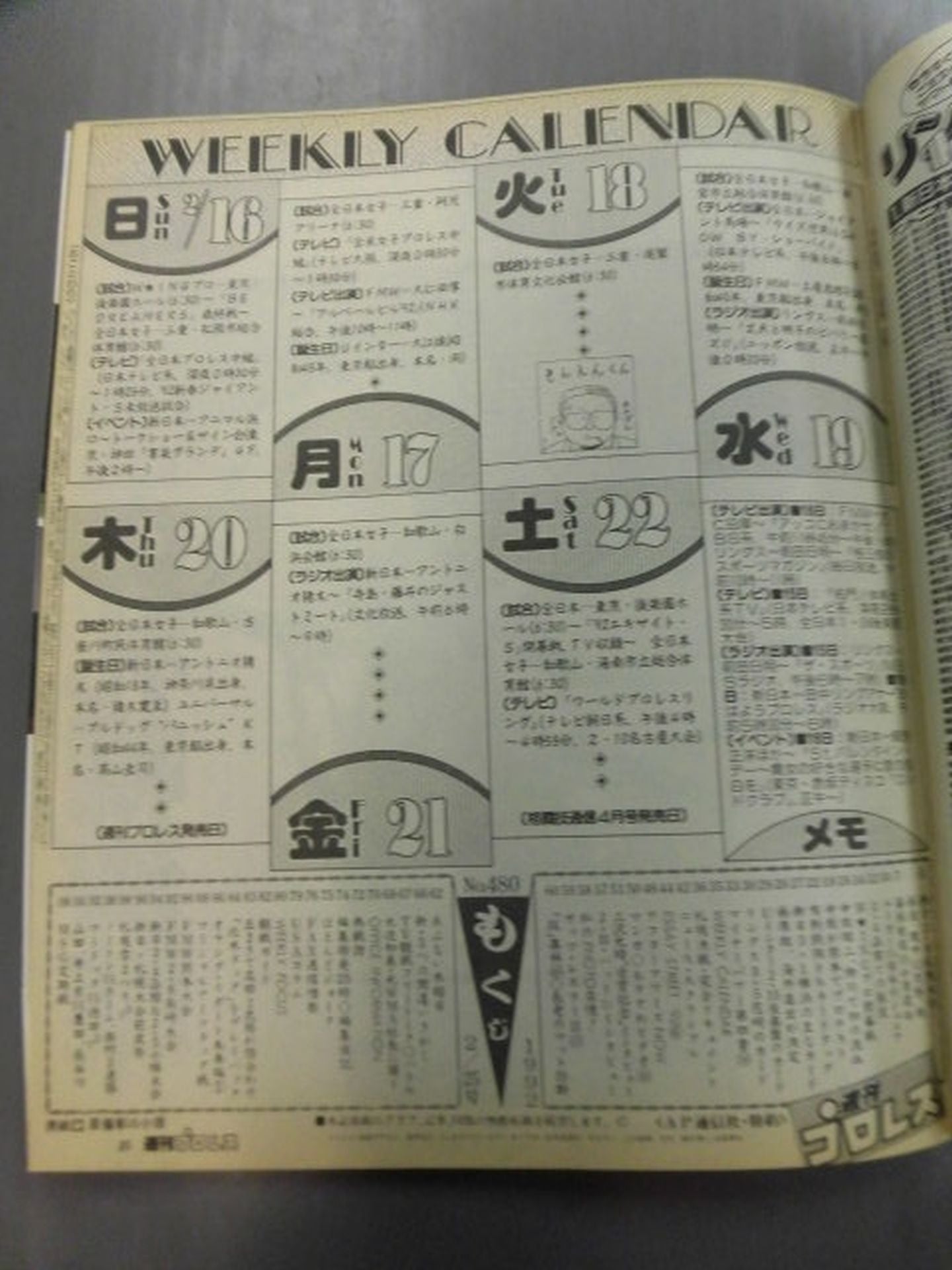 Weekly Pro Wrestling 480