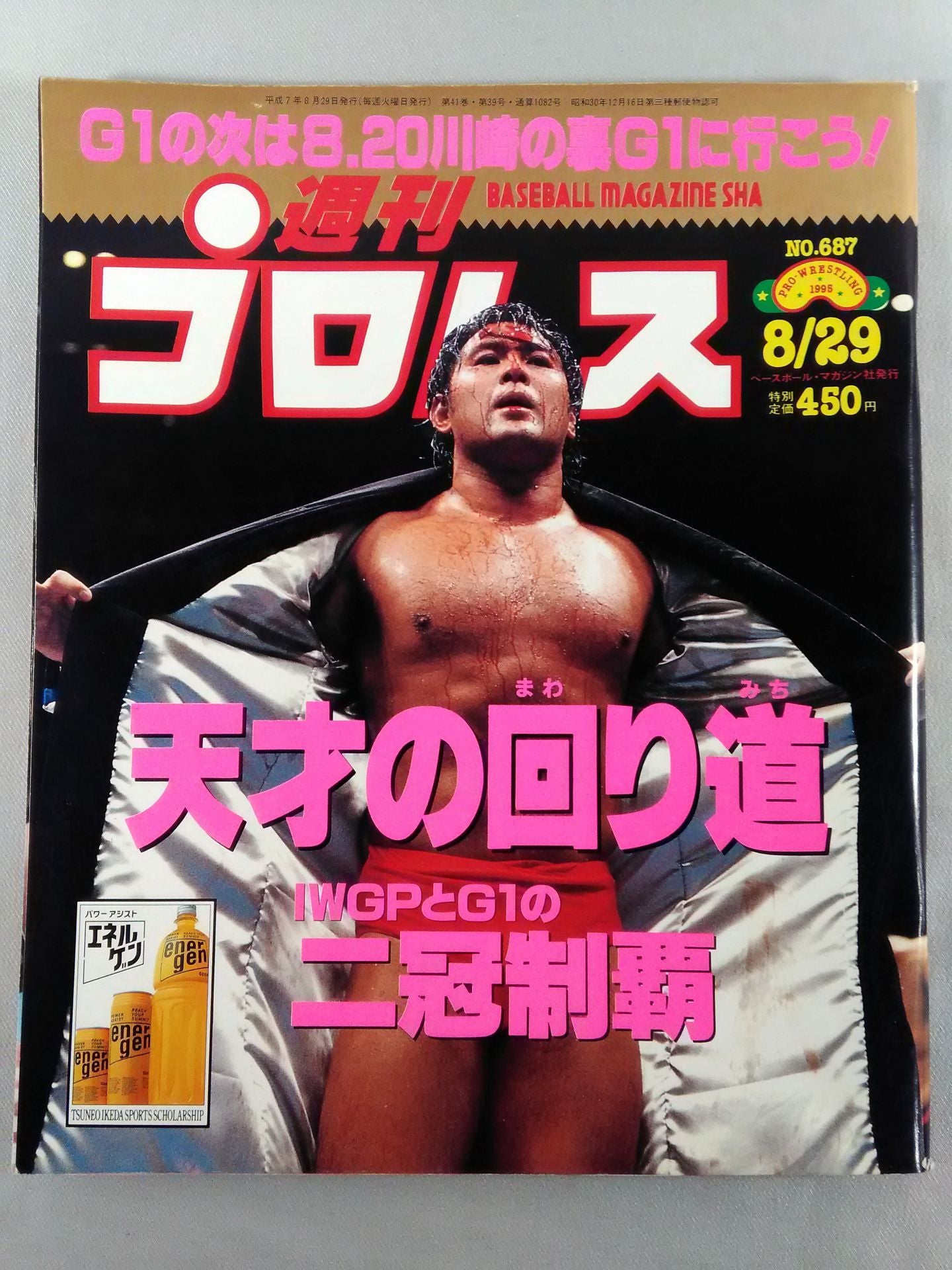 Weekly Pro Wrestling 687