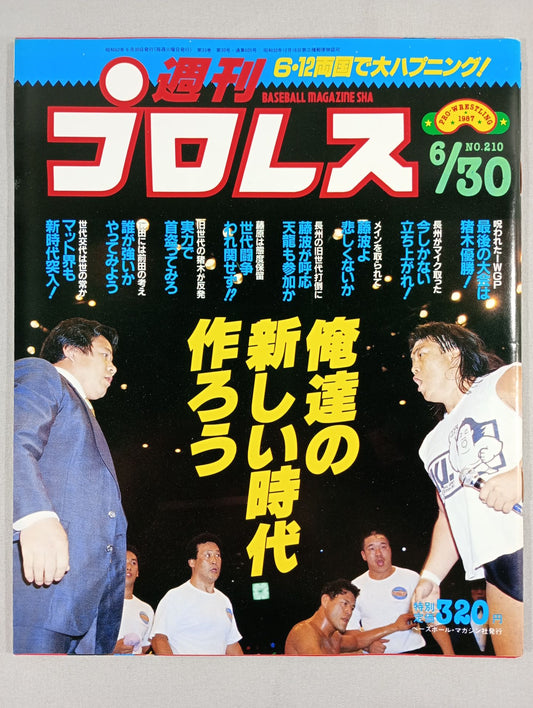 週刊プロレス210