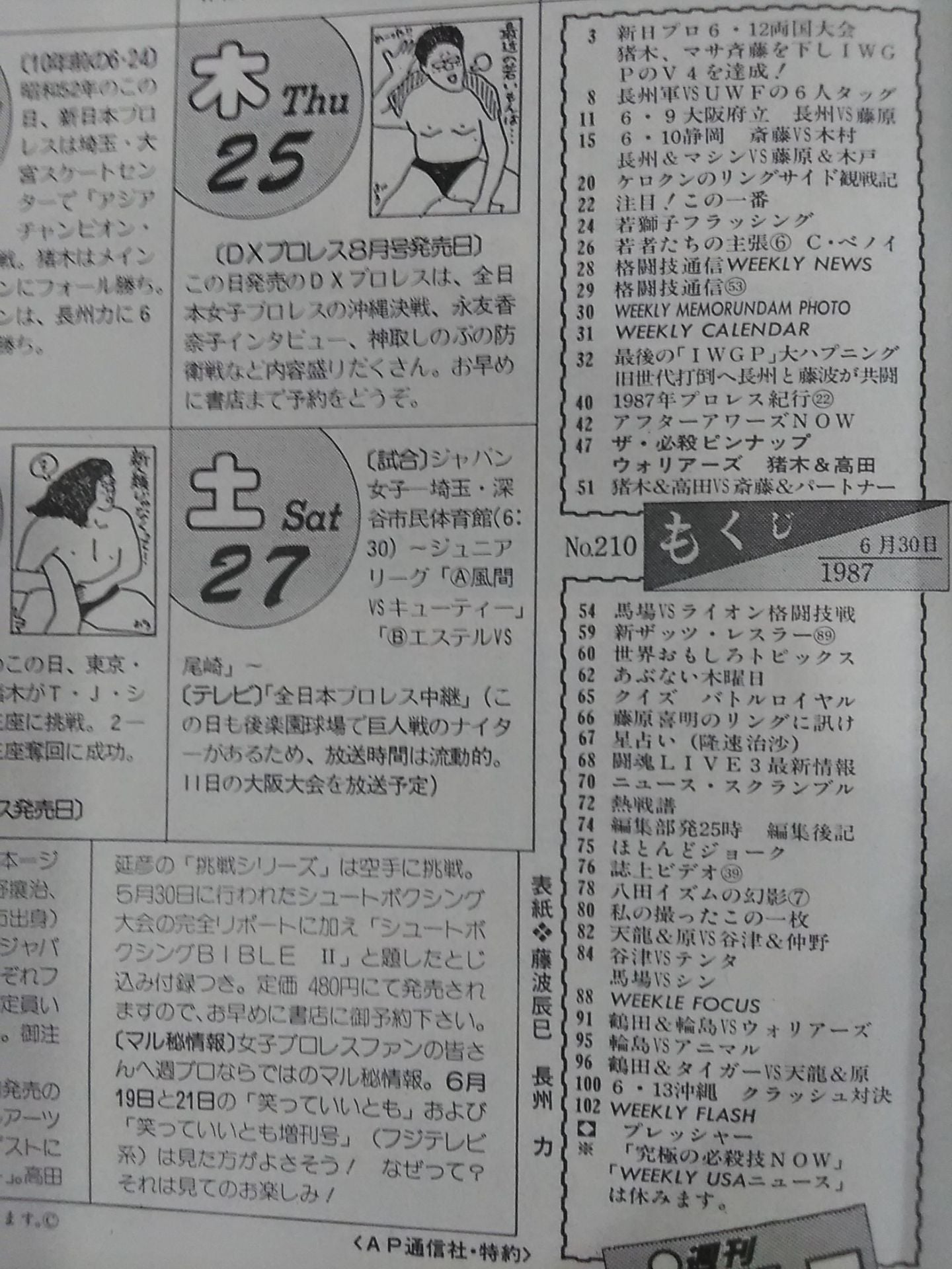 Weekly Pro Wrestling 210