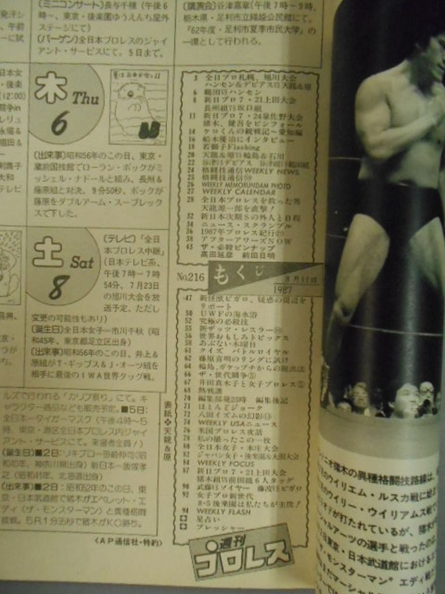 Weekly Pro Wrestling 216