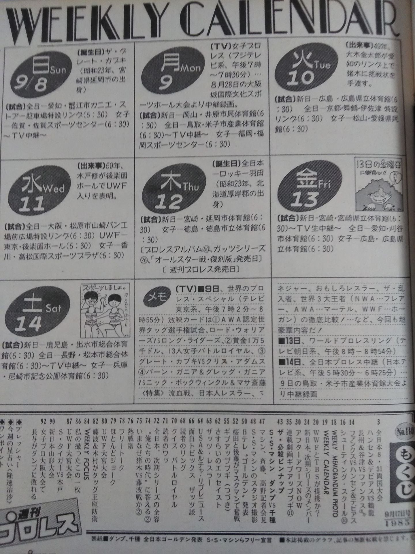 Weekly Pro Wrestling 110