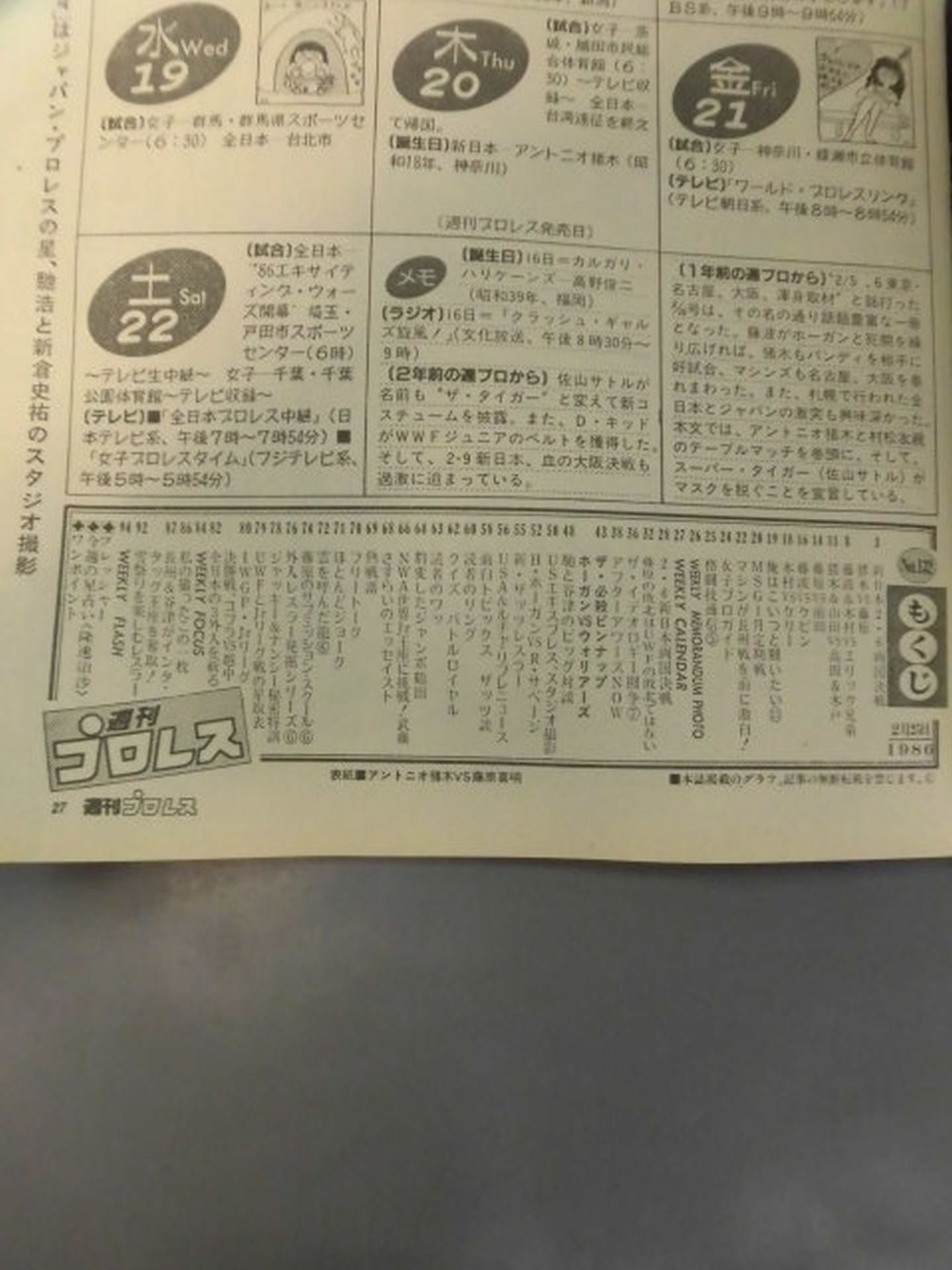 Weekly Pro Wrestling 132