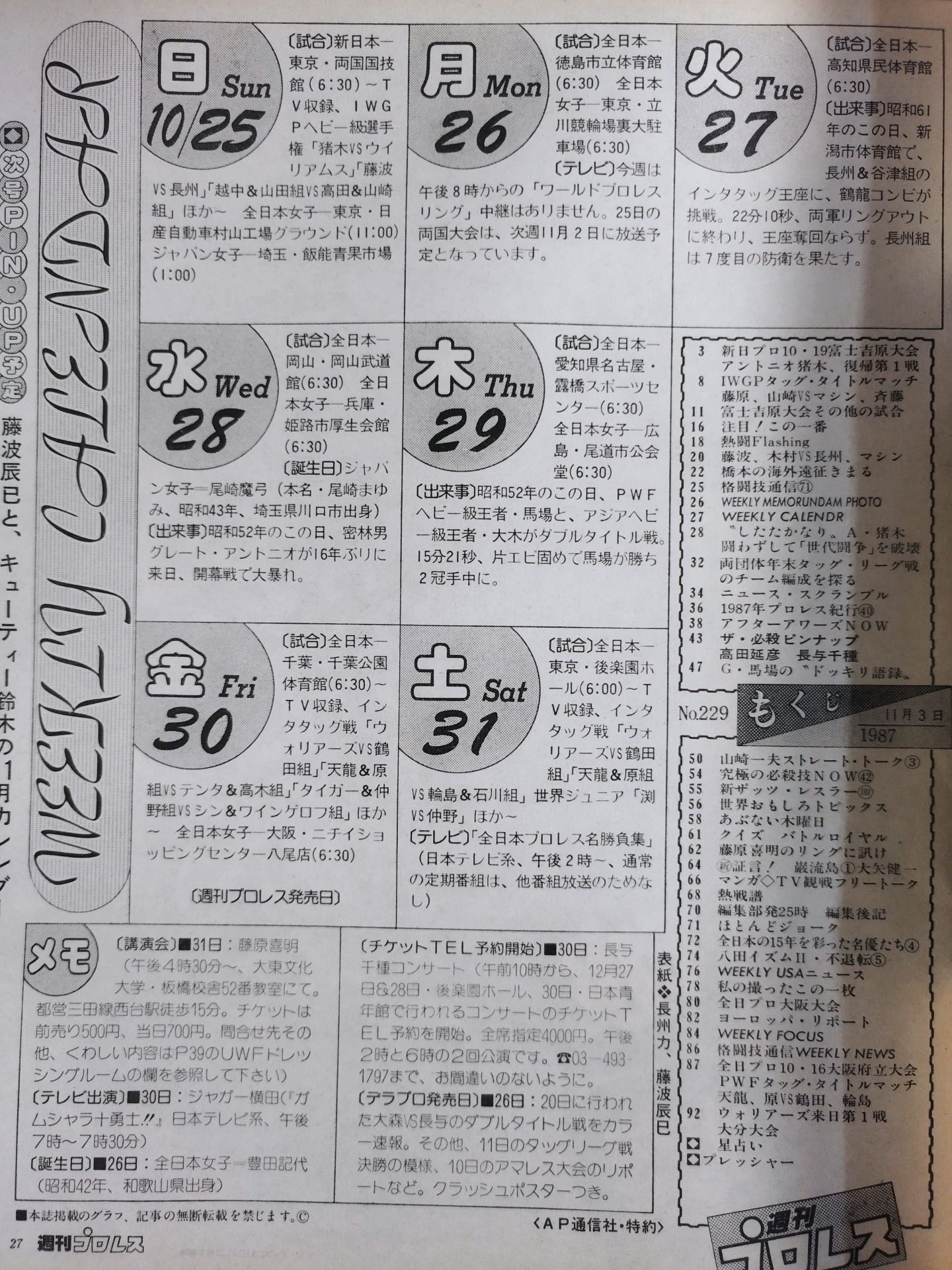 Weekly Pro Wrestling 229