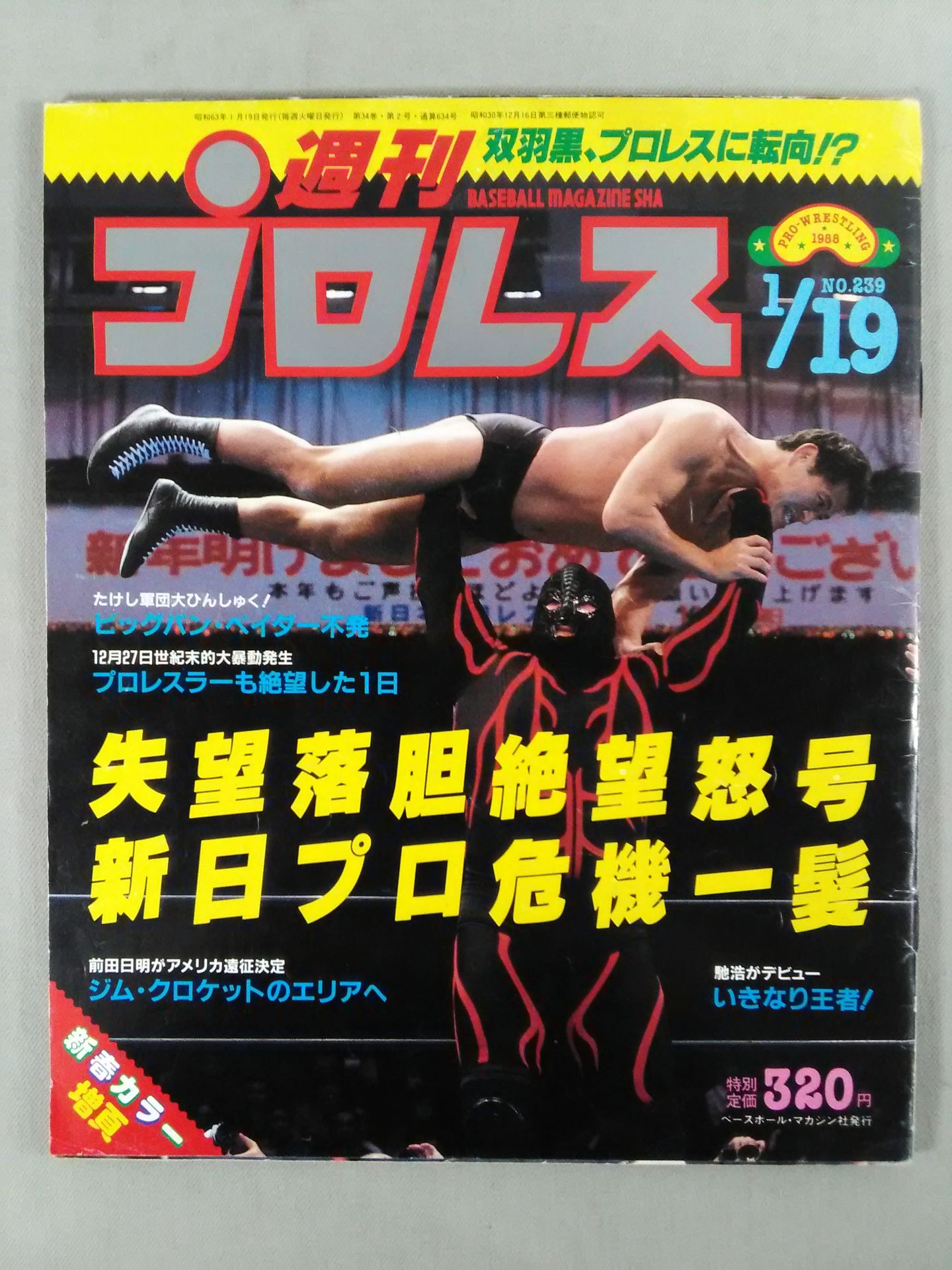 週刊プロレス239 – 闘道館
