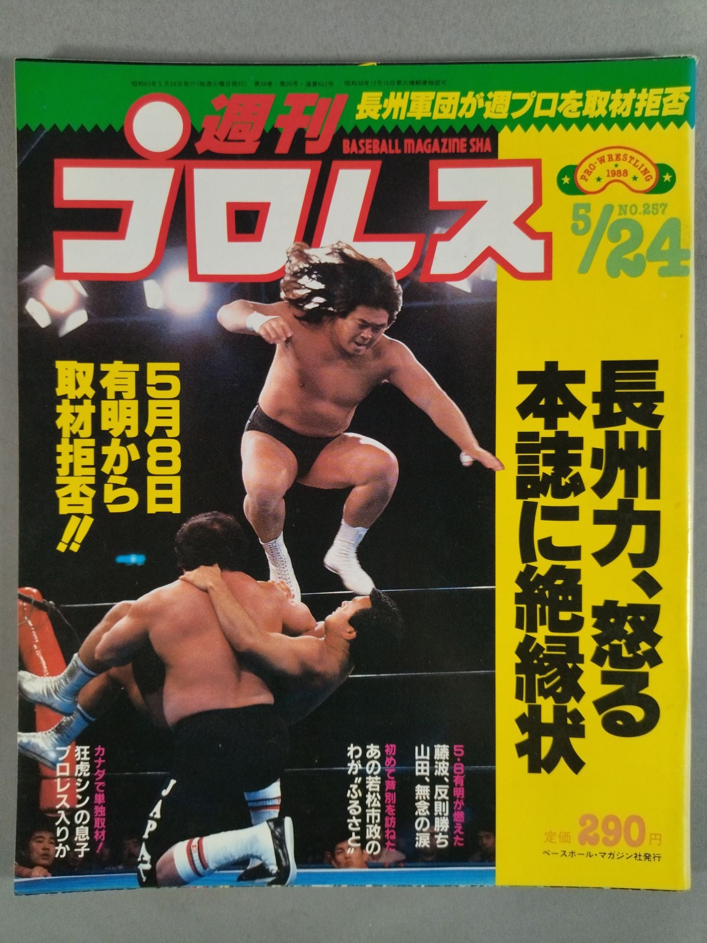 Weekly Pro Wrestling 257