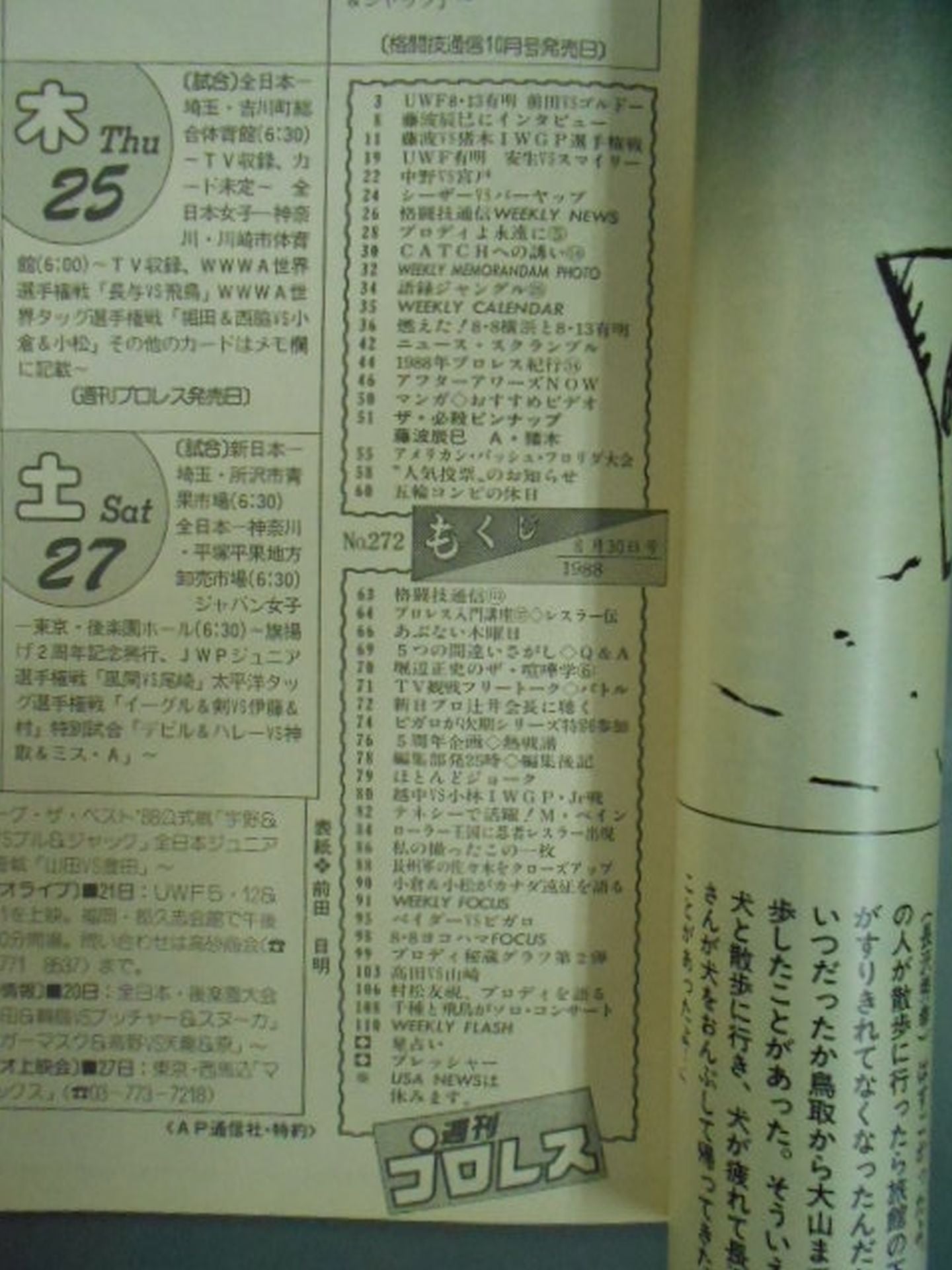 Weekly Pro Wrestling 272