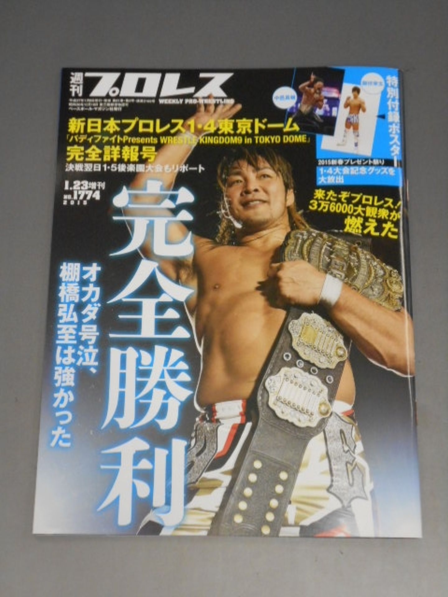 Weekly Pro Wrestling 1774