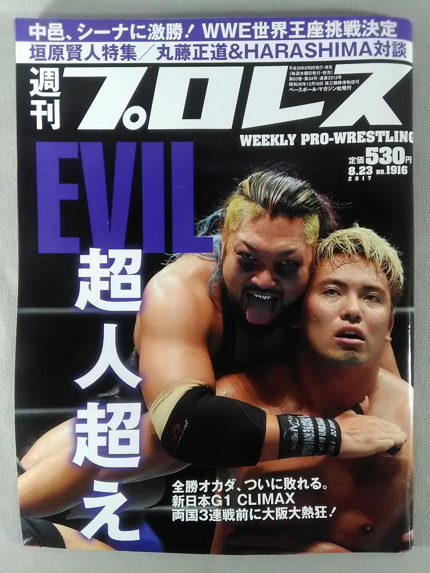 週刊プロレス1916 – 闘道館