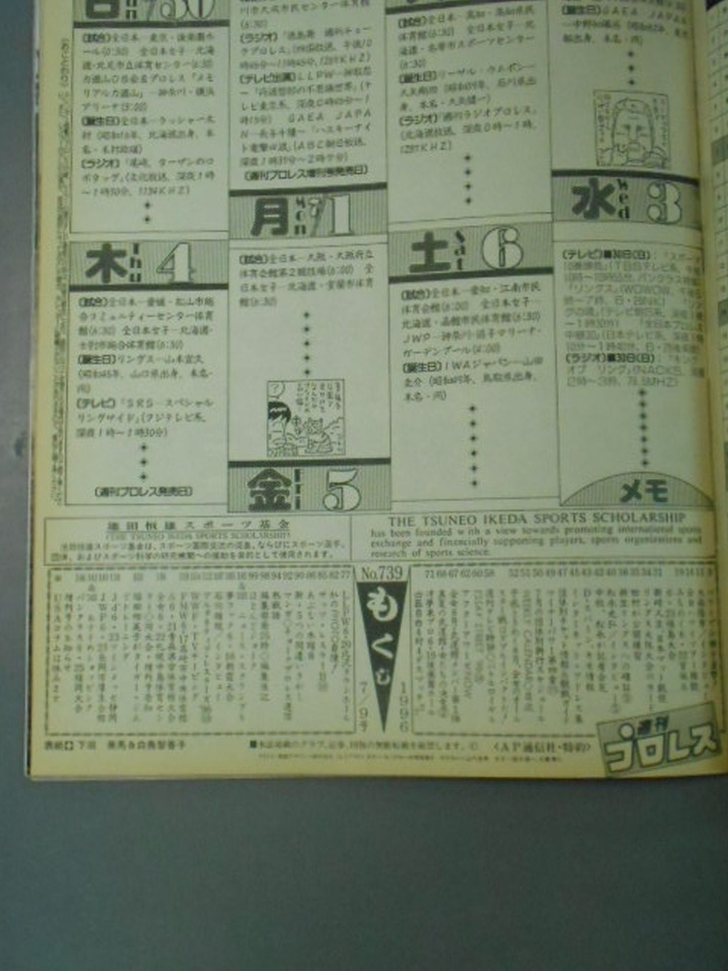 Weekly Pro Wrestling 739