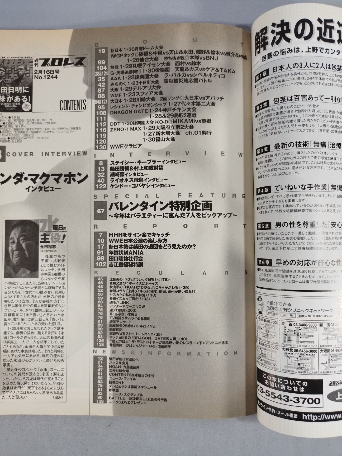 Weekly Pro Wrestling 1244