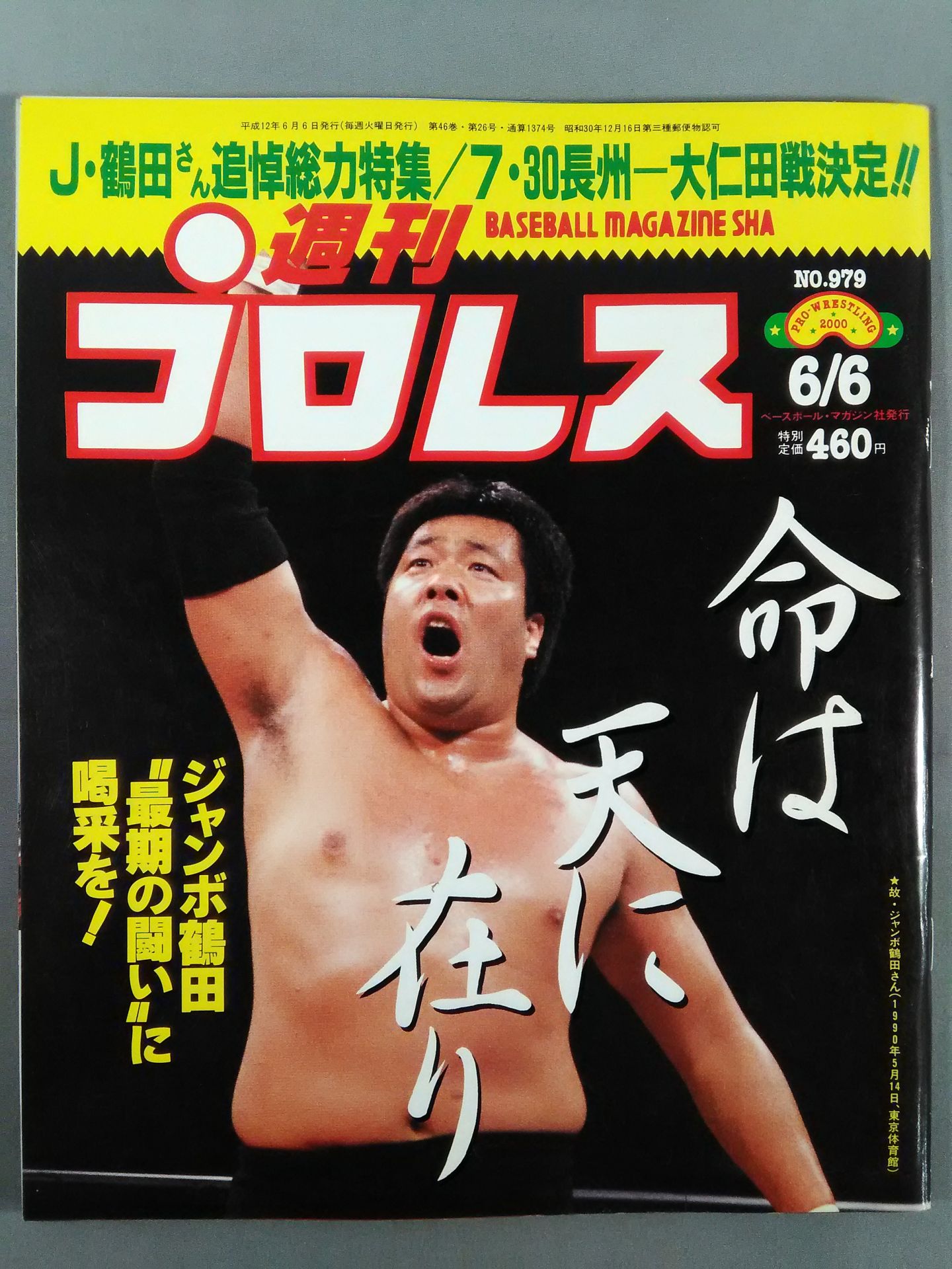 Weekly Pro Wrestling 979