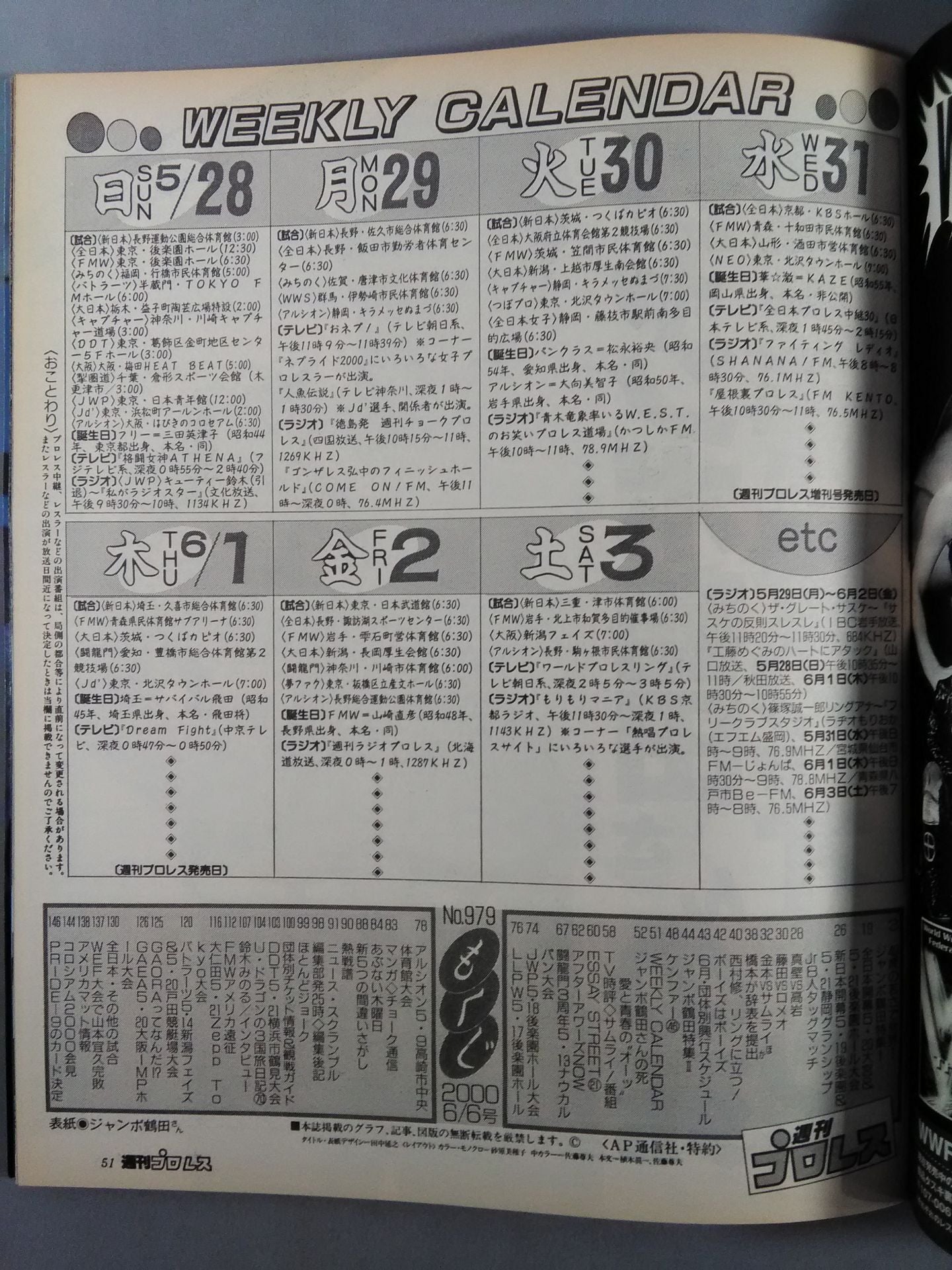 Weekly Pro Wrestling 979