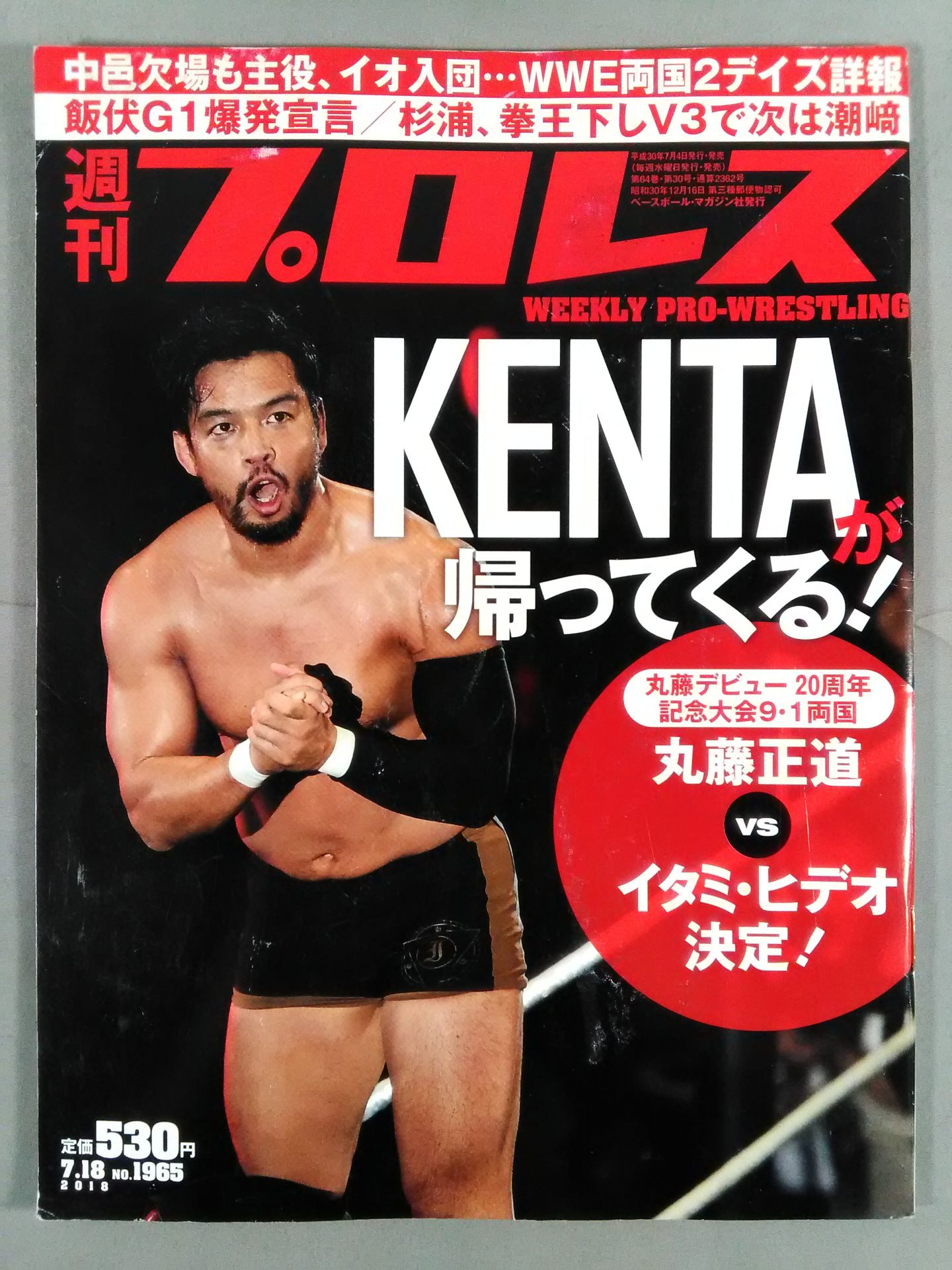 Weekly Pro Wrestling 1965