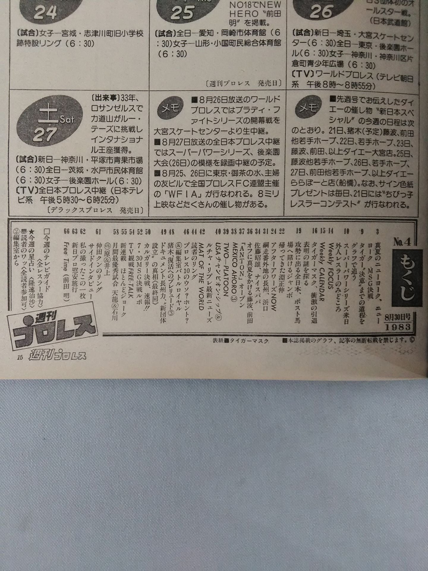 Weekly Pro Wrestling 4