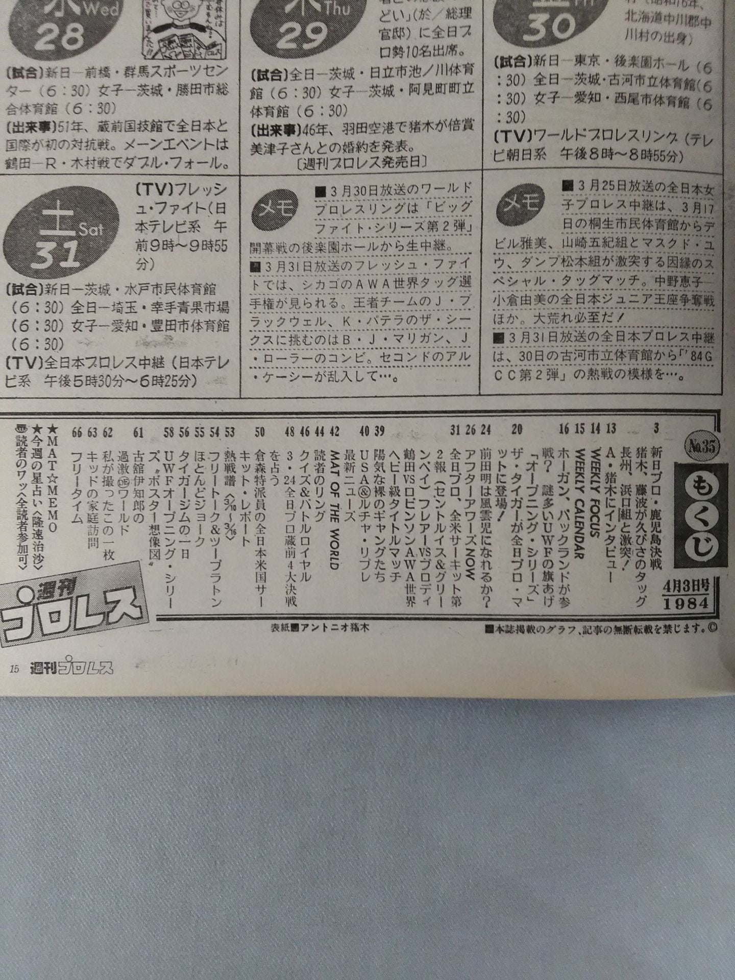 Weekly Pro Wrestling 35