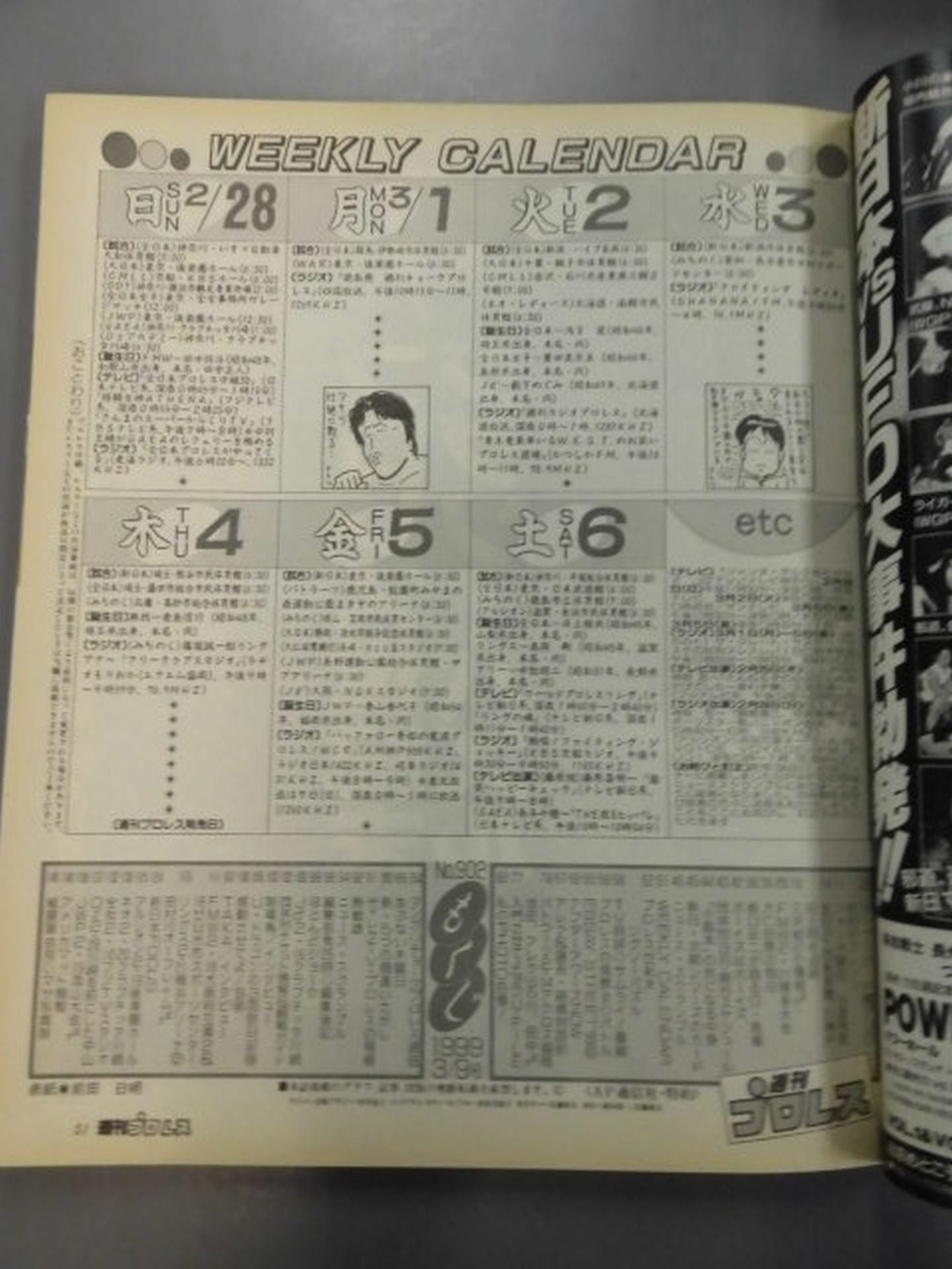 Weekly Pro Wrestling 902