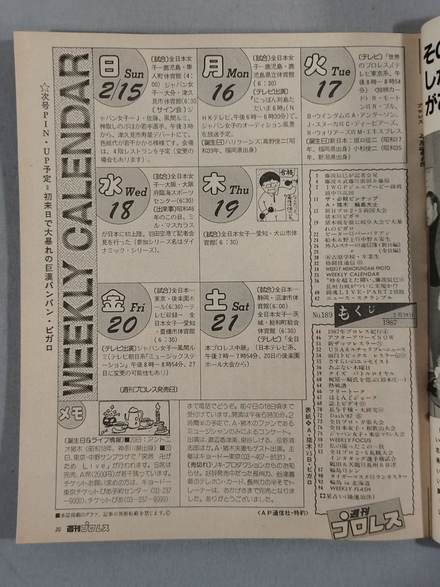 Weekly Pro Wrestling 189