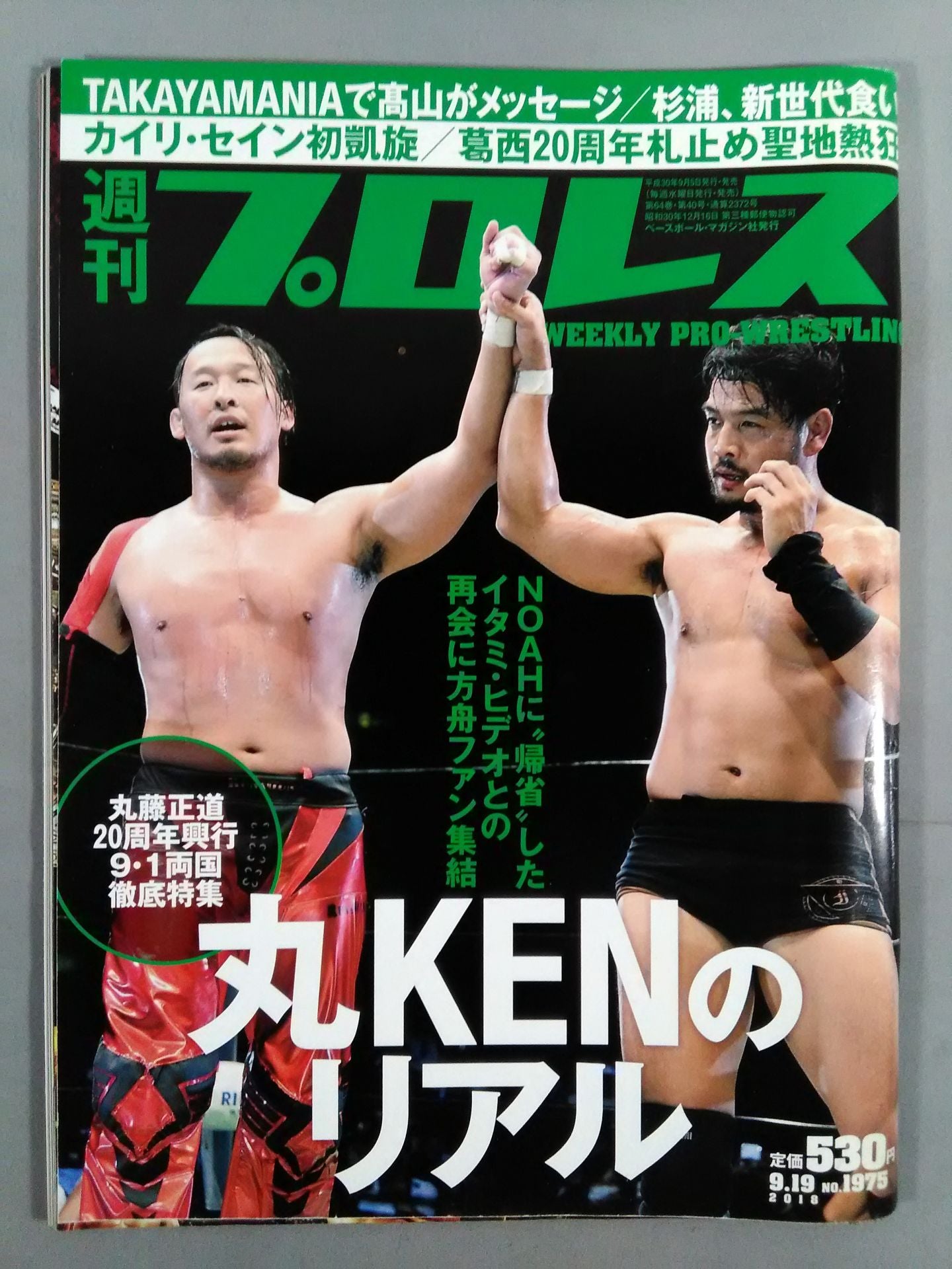 Weekly Pro Wrestling 1975